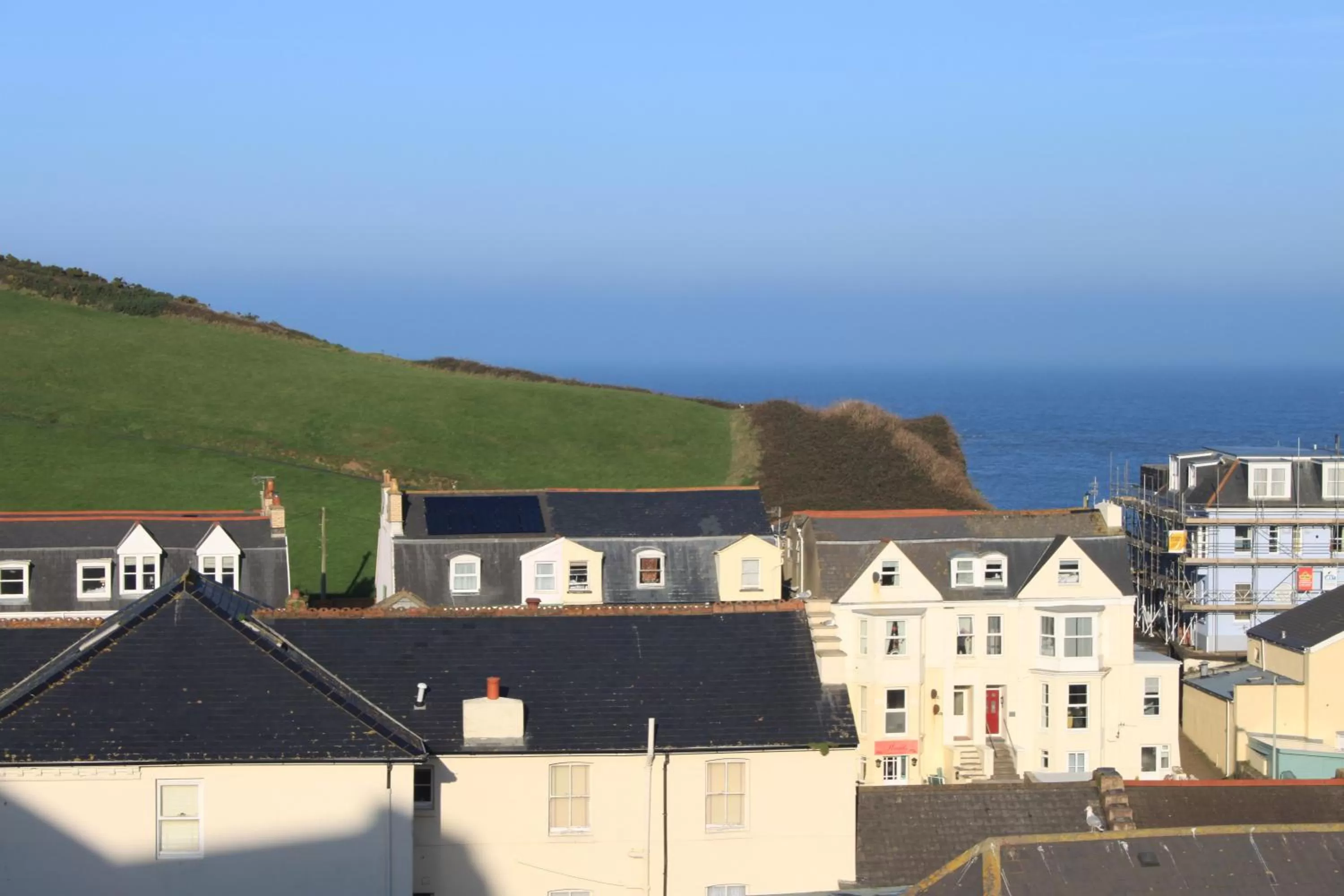 Location in The Olive Branch