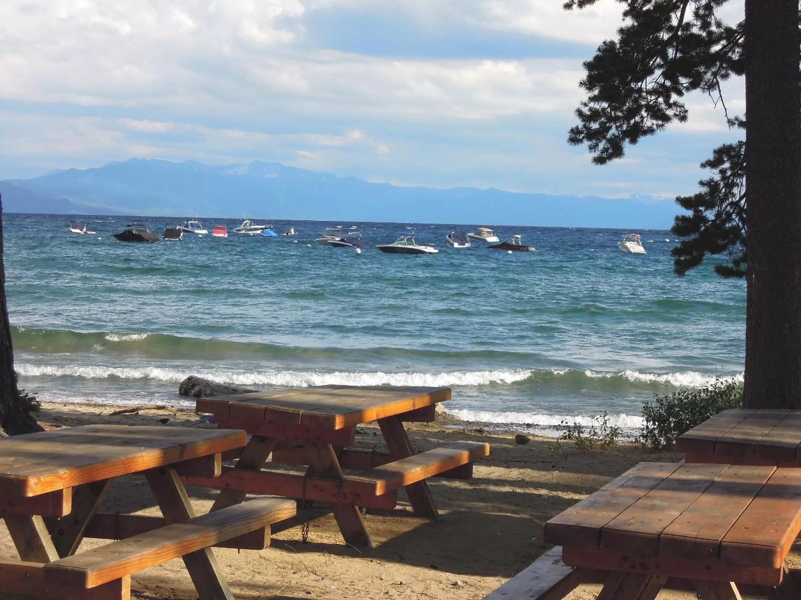 Neighbourhood in Firelite Lodge