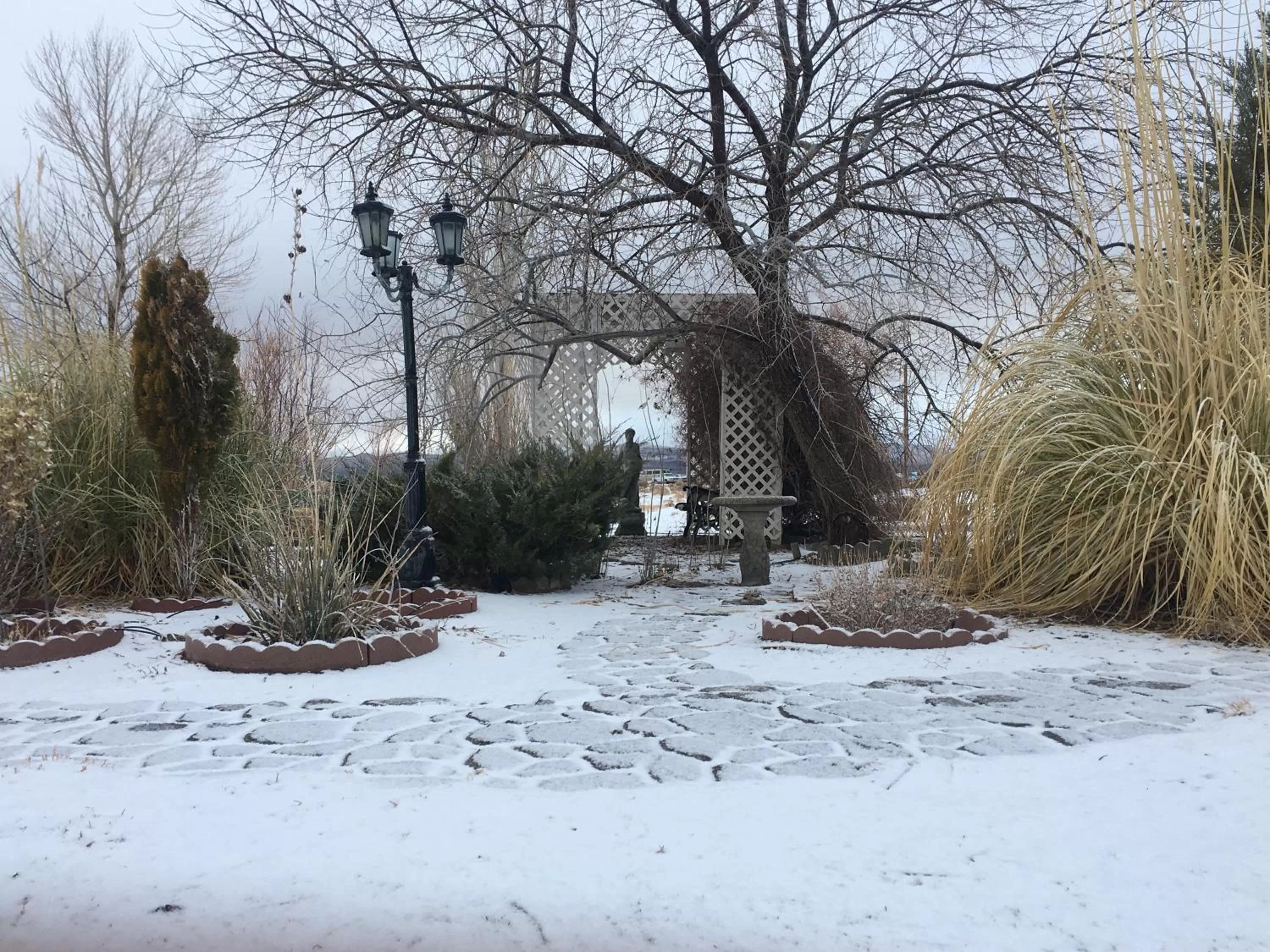Garden in Shady Lady Bed and Breakfast