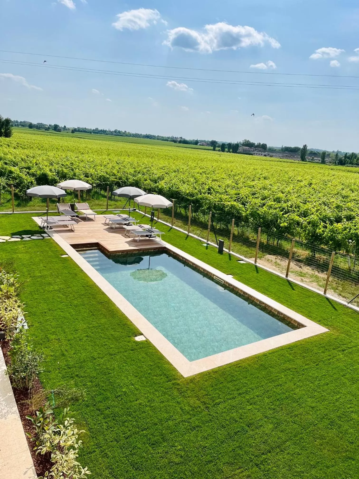 Garden in Il Vigneto