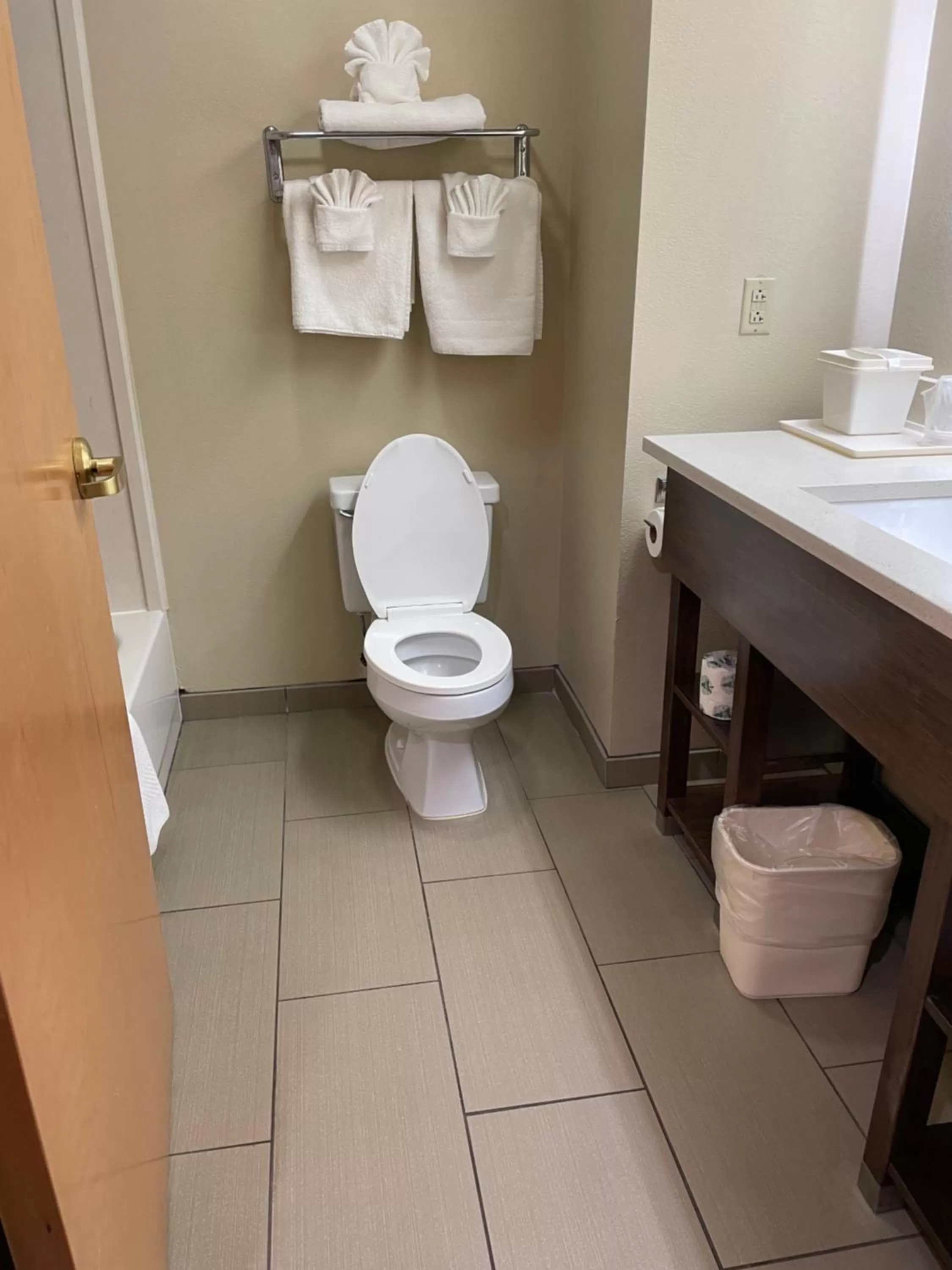 Bathroom in Econo Lodge Newport Smoky Mountains Gateway