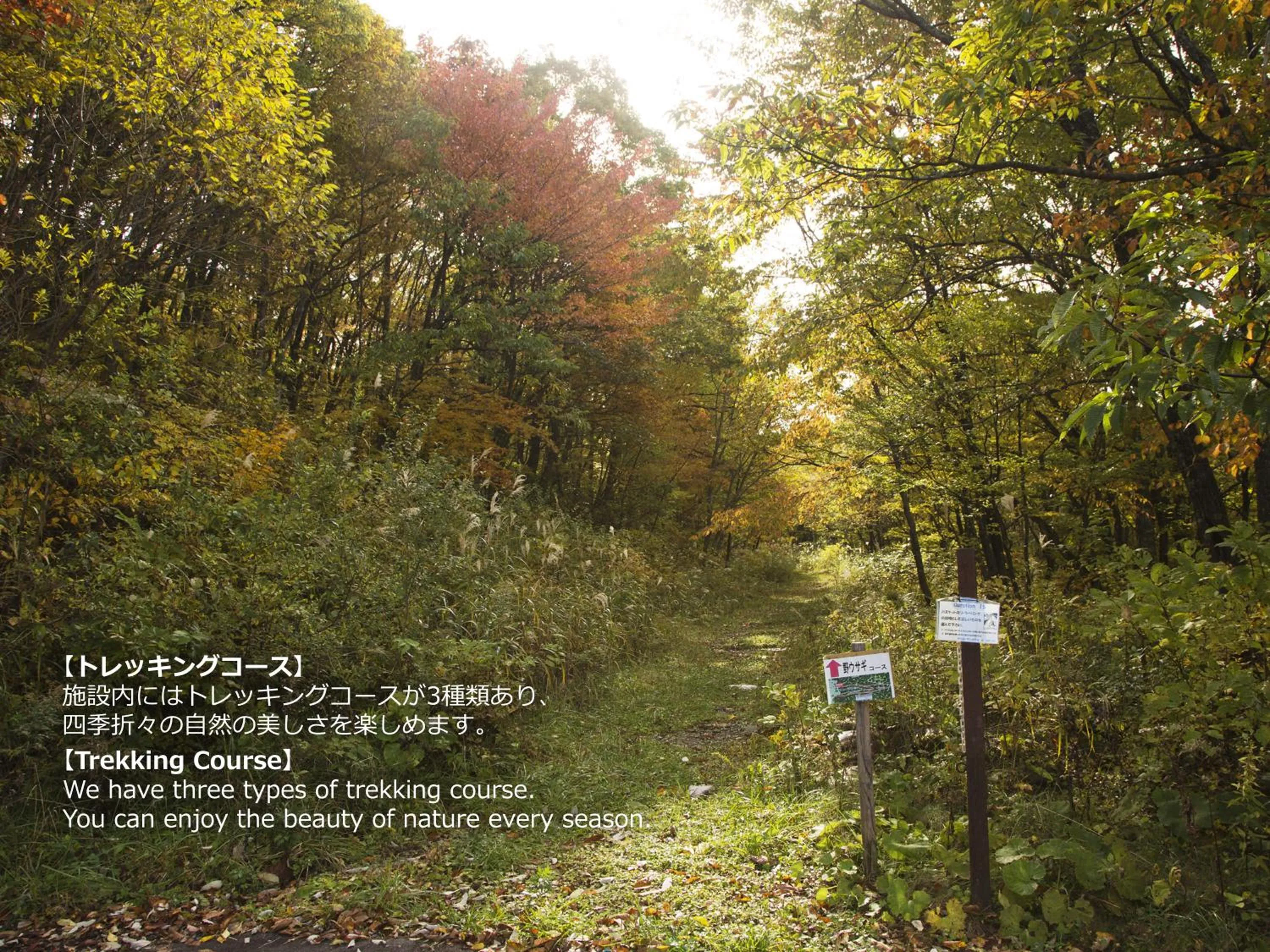 Natural landscape in Resort Villa Takayama