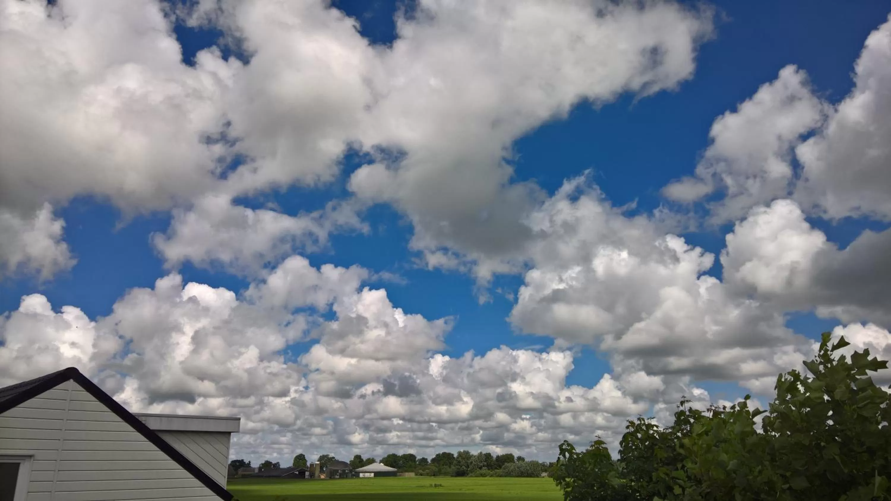 Property building in Bed & Breakfast Boszicht Leeuwarden