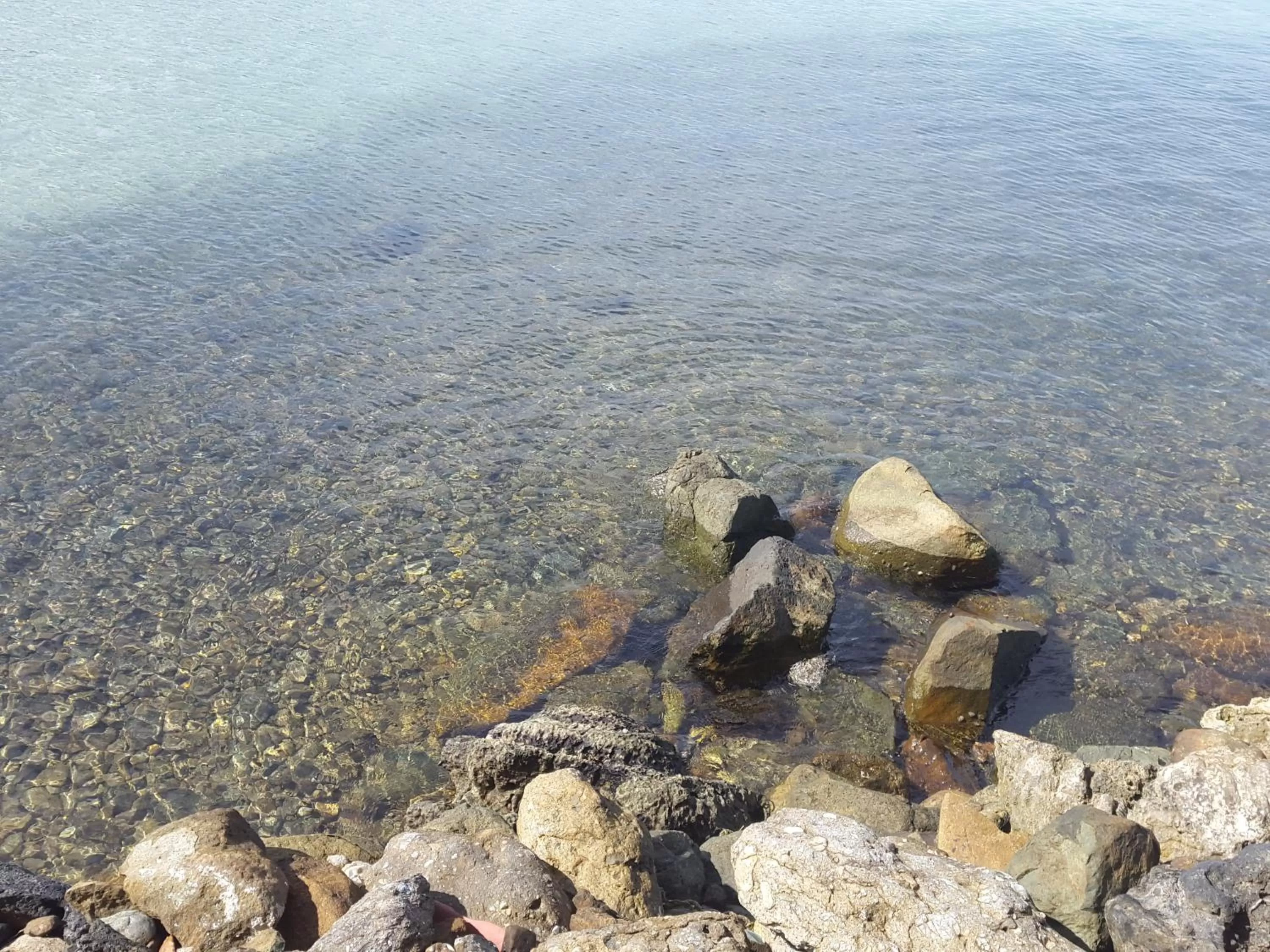 Area and facilities in River Hotel