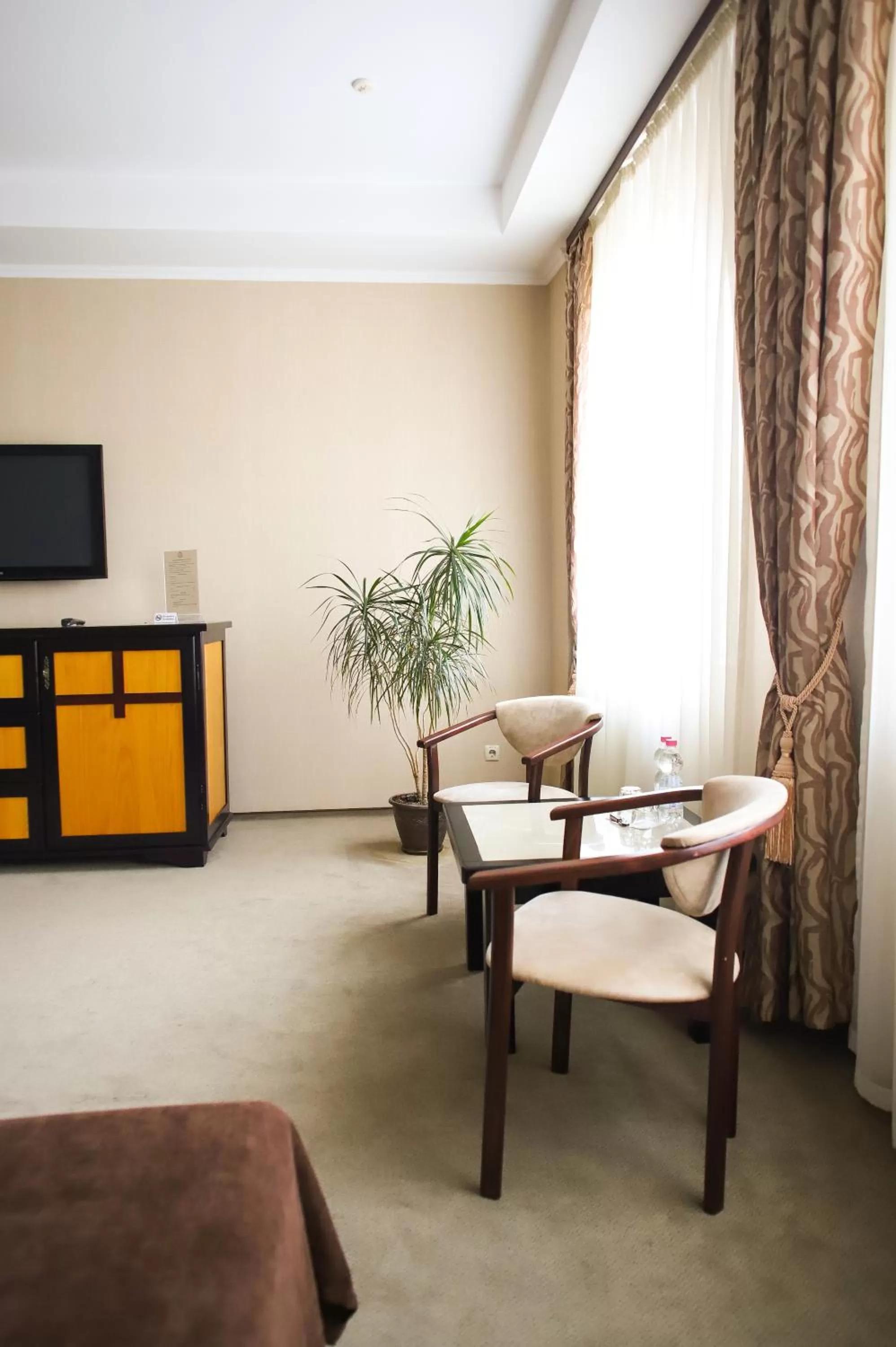 TV and multimedia in Georg Palace Hotel