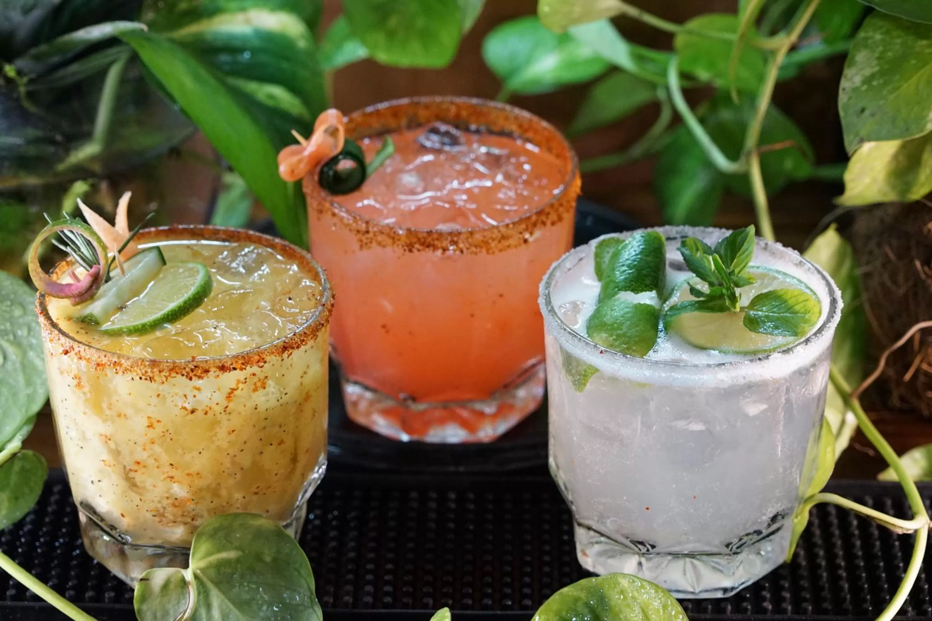 Food and drinks in Selina Sayulita