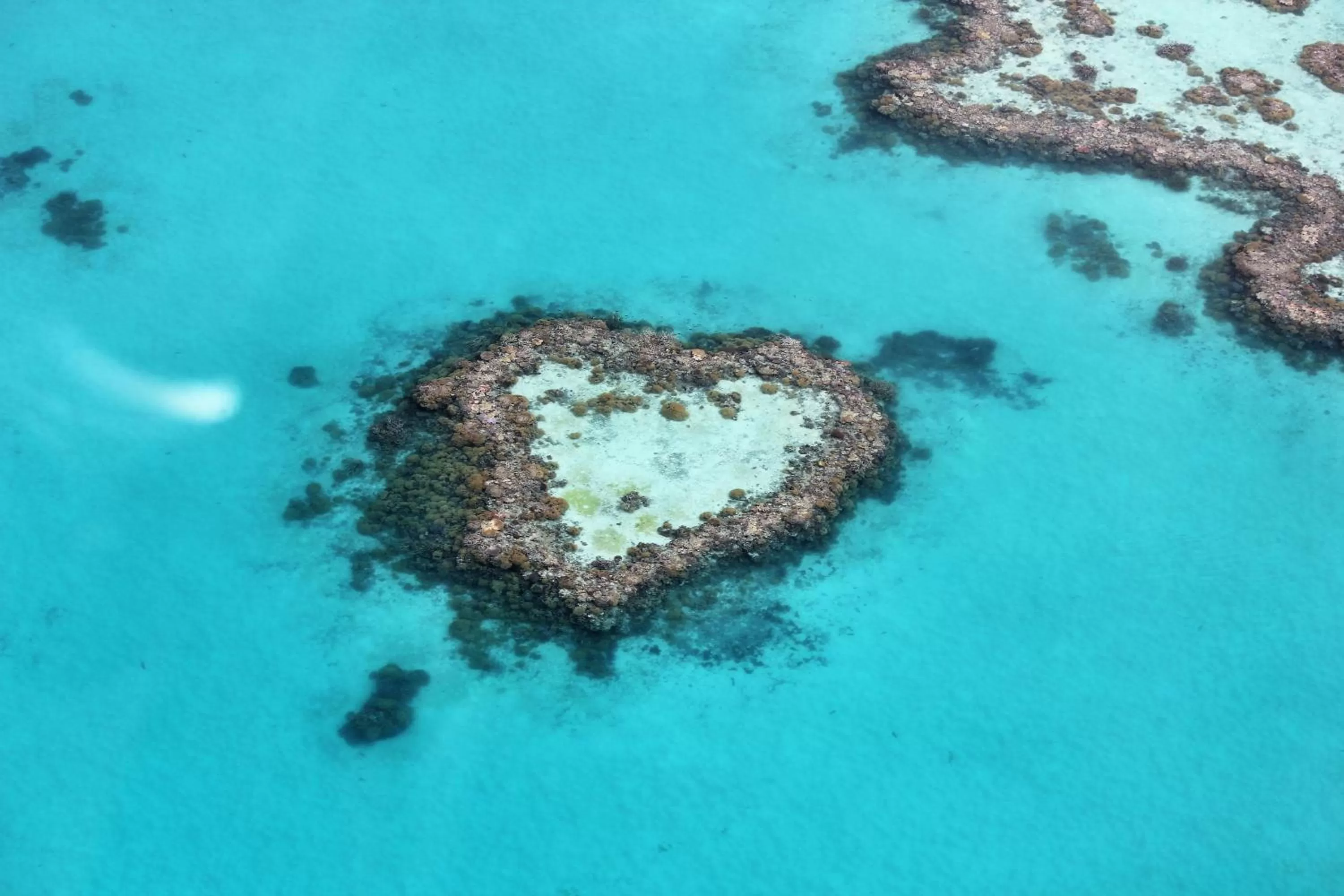 Activities in Lake Central Cairns