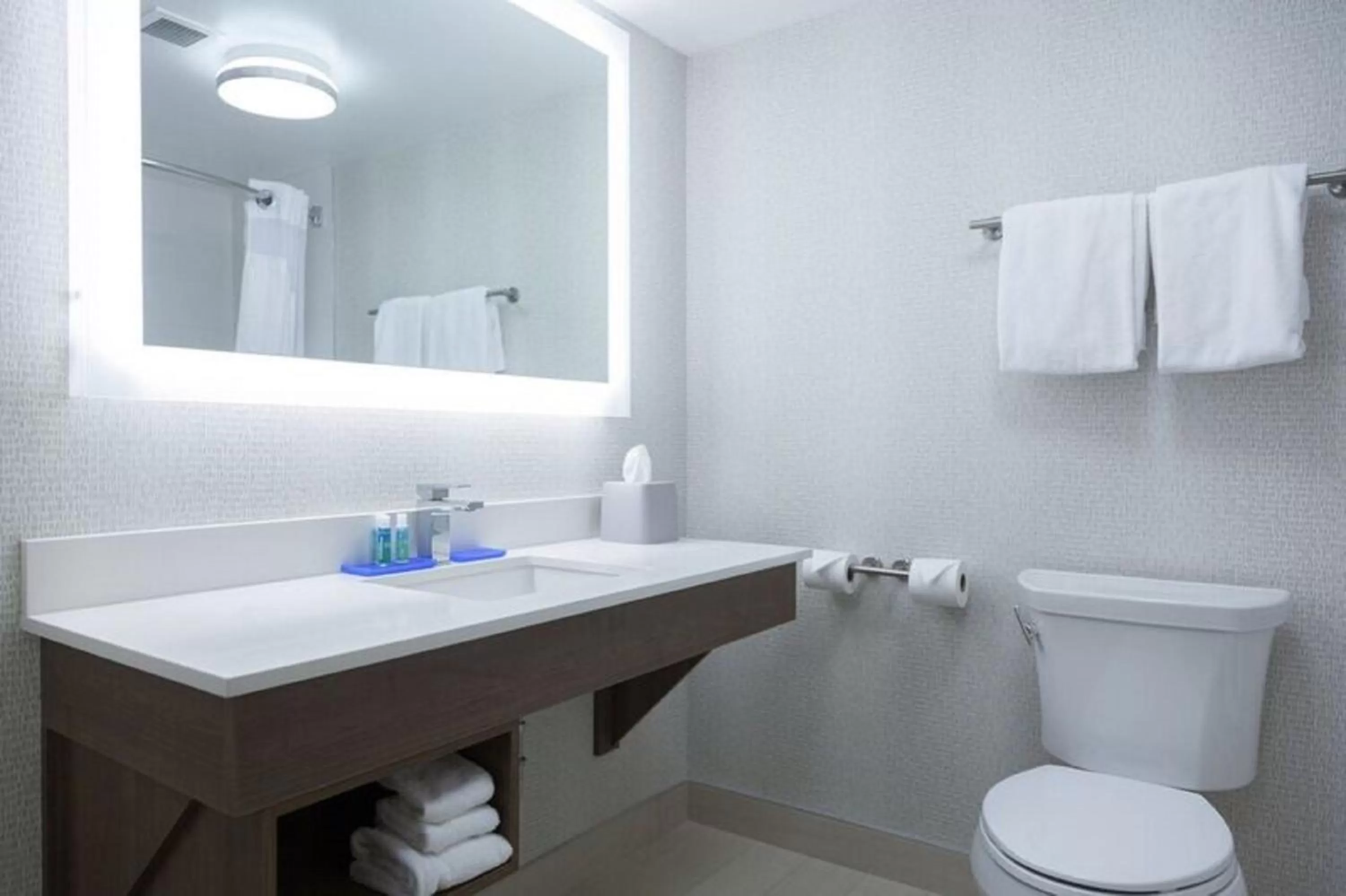 Bathroom in Holiday Inn Express Hotel & Suites Charlottetown by IHG