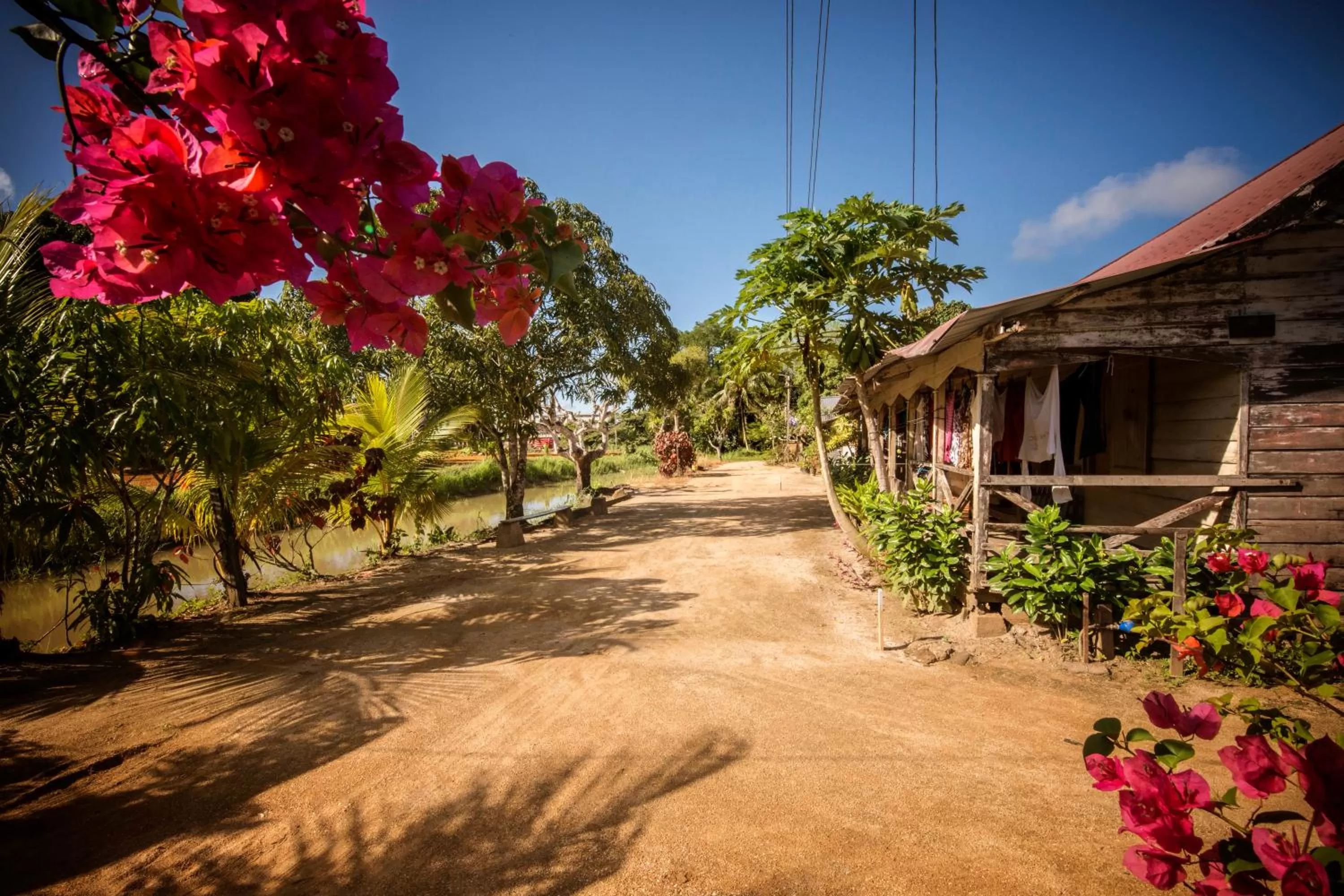 Day in Boutique Hotel Peperpot