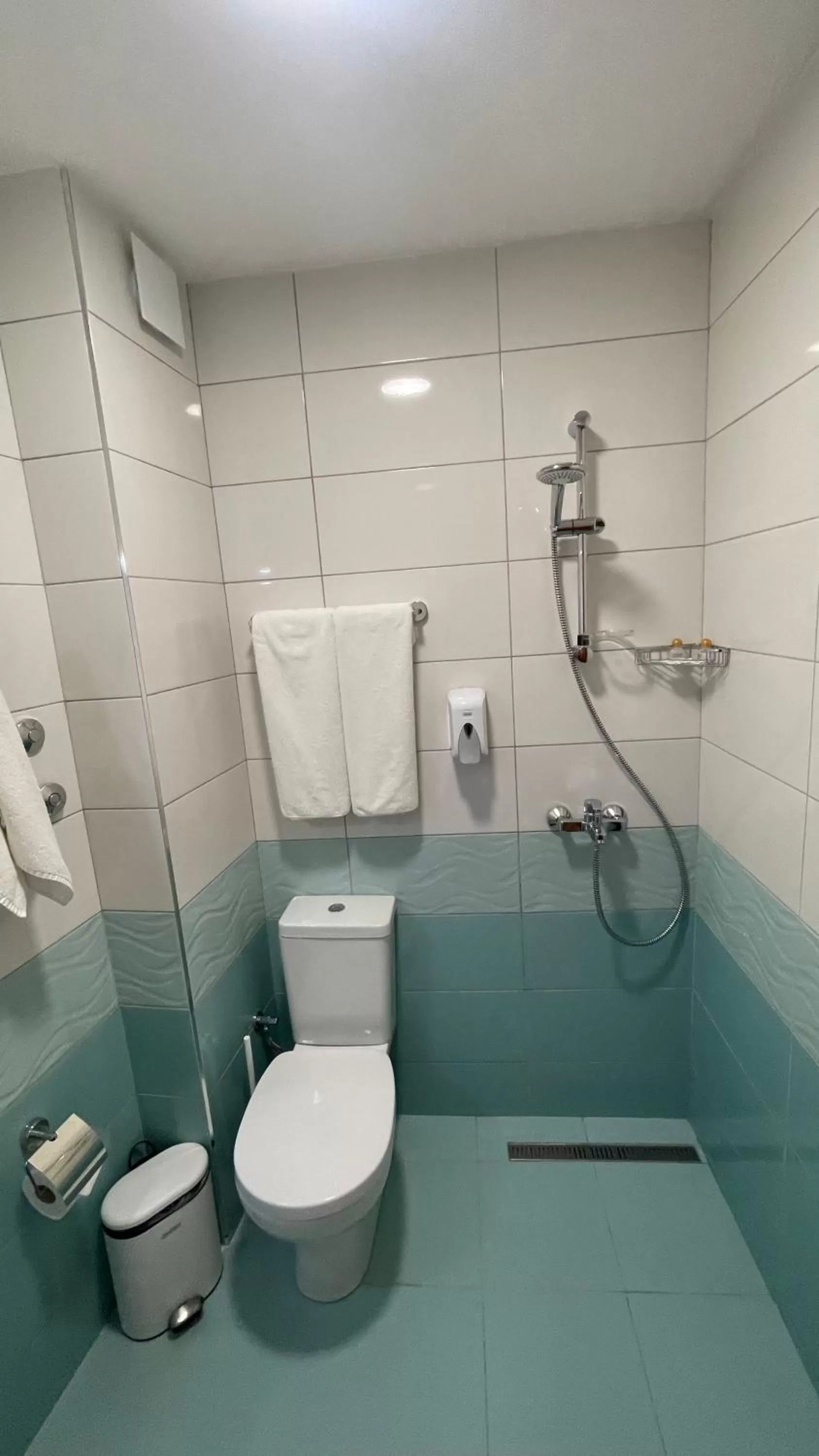 Toilet in Hotel Color