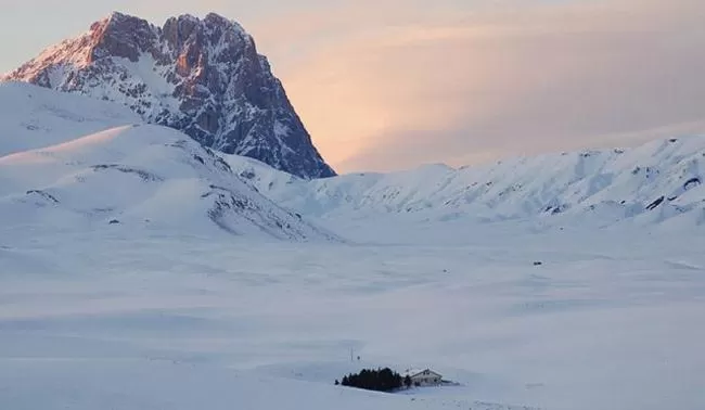 Winter in Il Frutteto