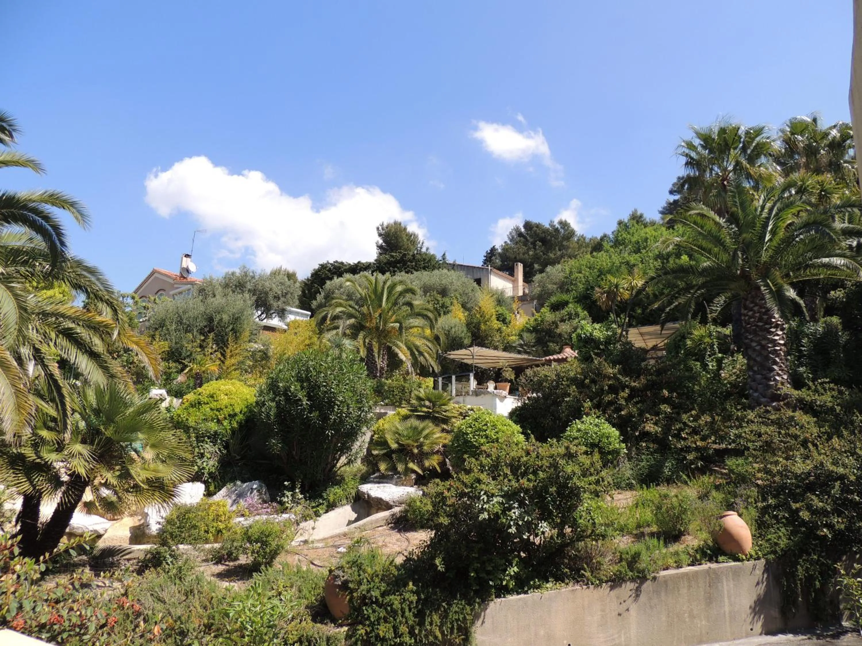 Garden in Royal Cottage Pamela Hotel Cassis