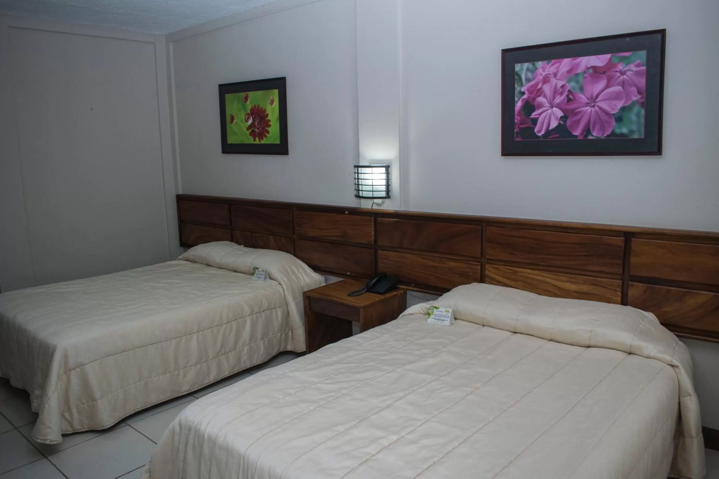 Standard Double Room in Hotel Suerre