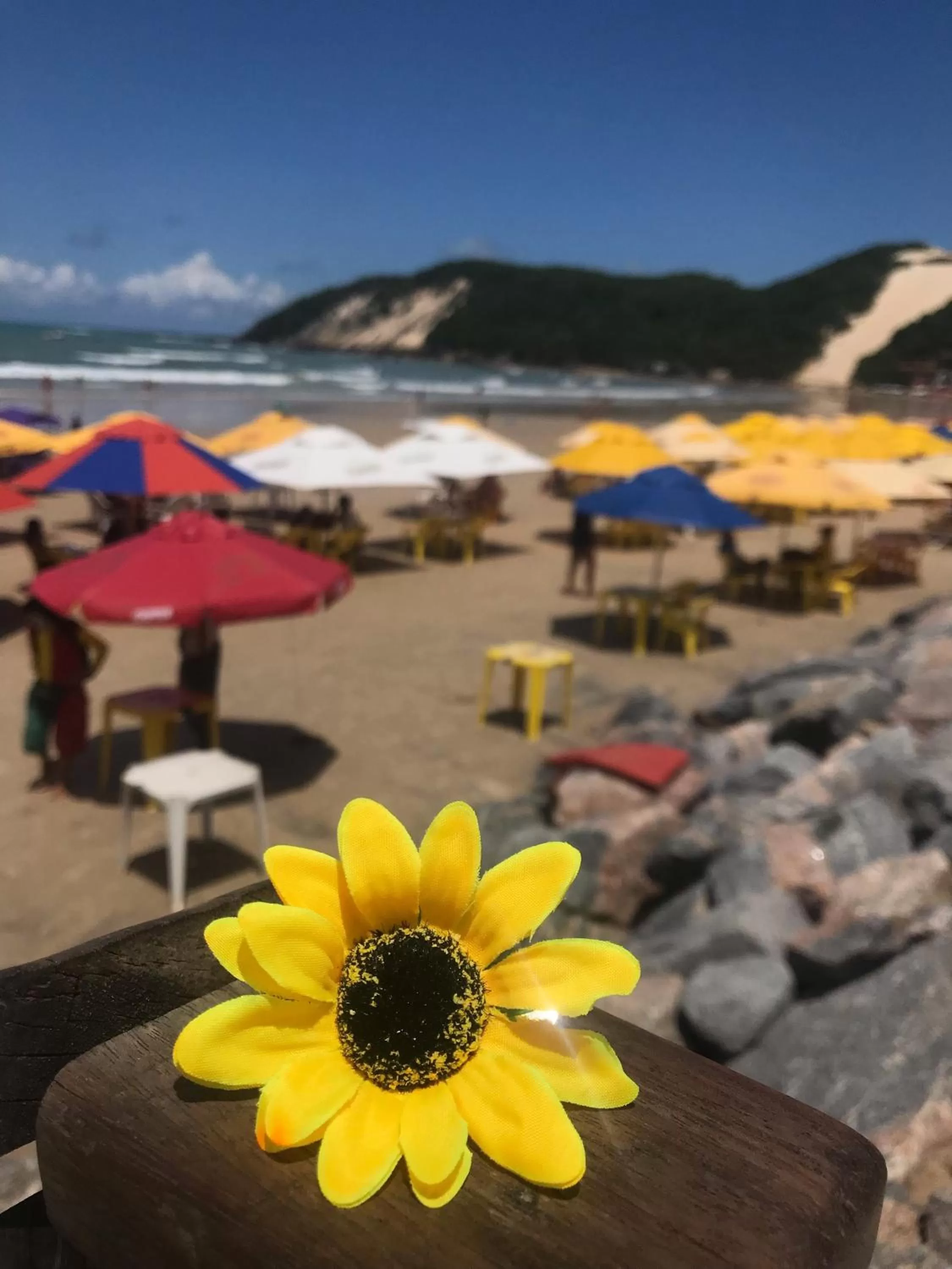 Sea view, Beach in Pousada America do Sol