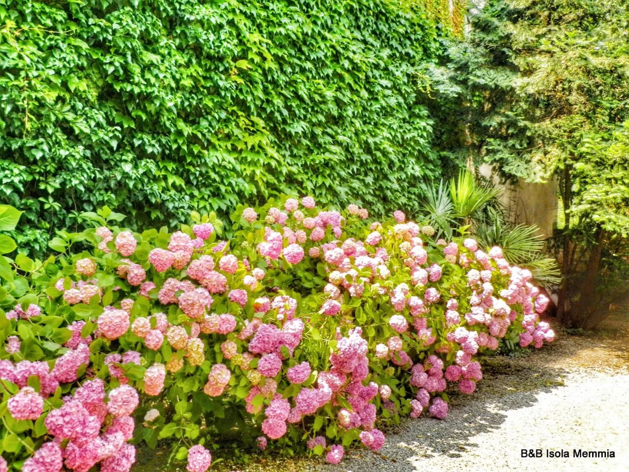 Property building in Isola Memmia