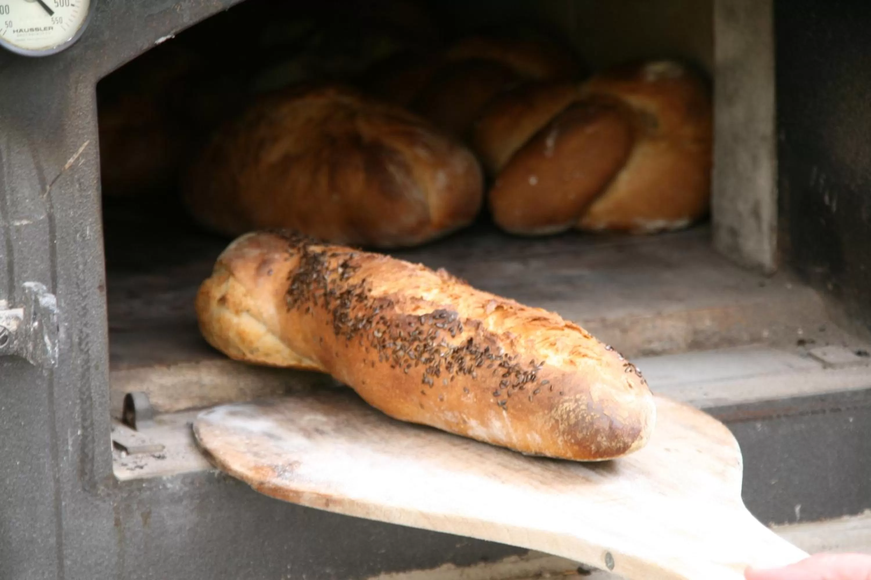 BBQ facilities, Food in Becksteiner Rebenhof