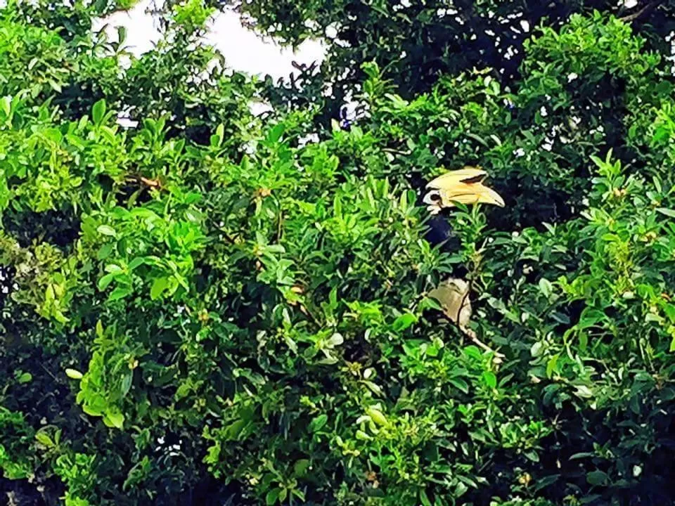 Day in Thanya Beach Resort - SHA Plus