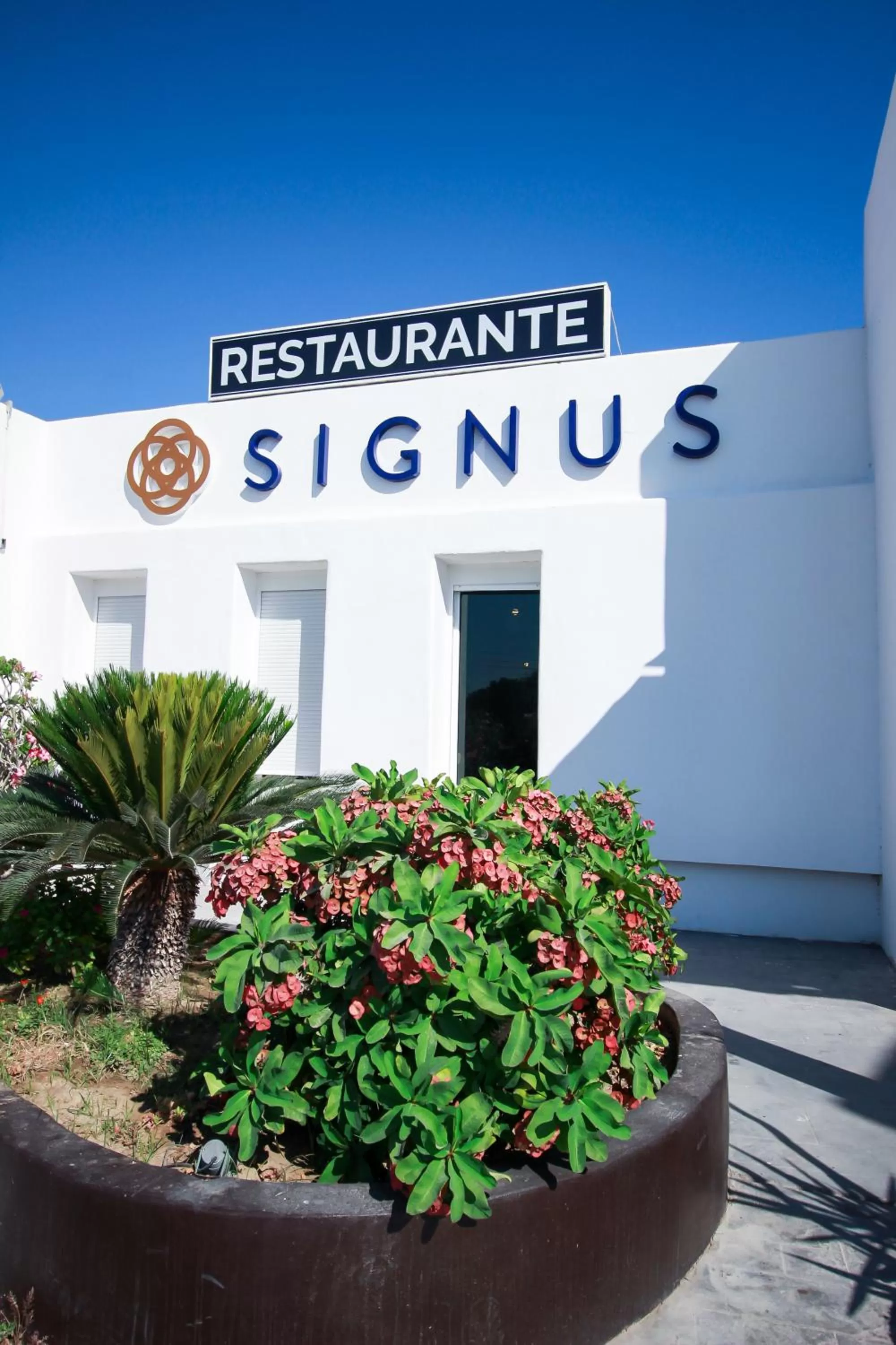 Food and drinks in Hotel Maioris La Paz