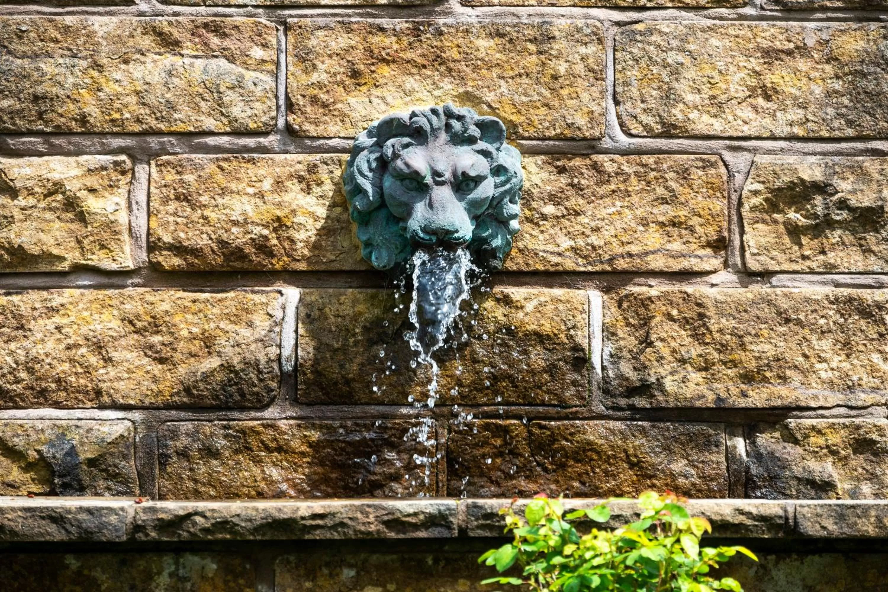 Garden in Parklands Country Gardens & Lodges Blue Mountains