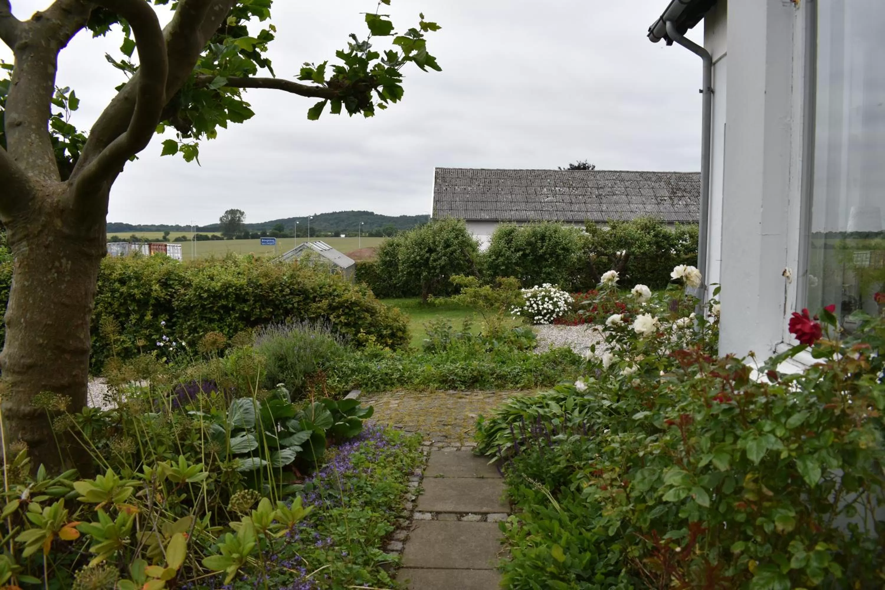 Other in Marielyst B&B - Apartments