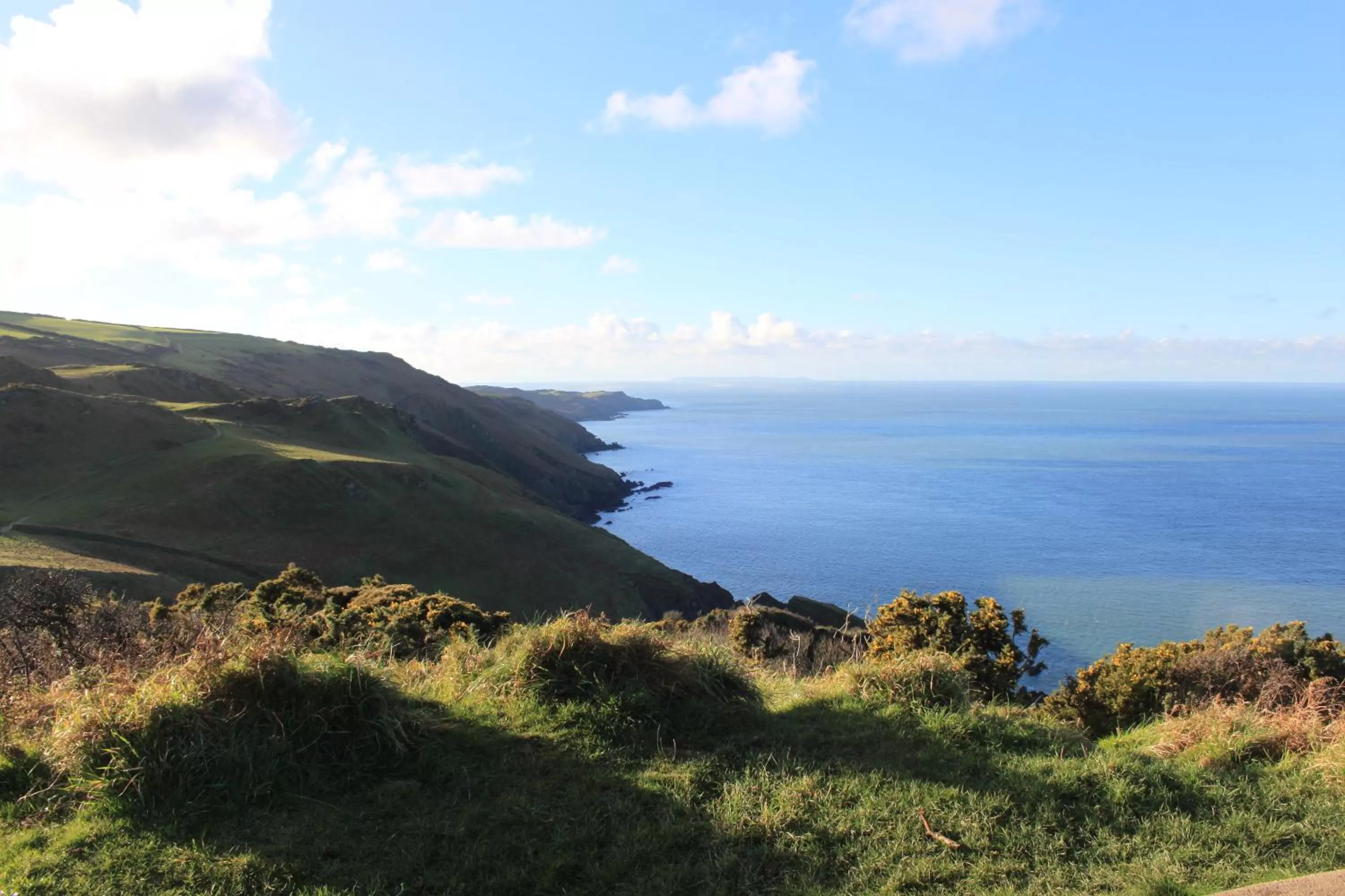 Location in The Olive Branch