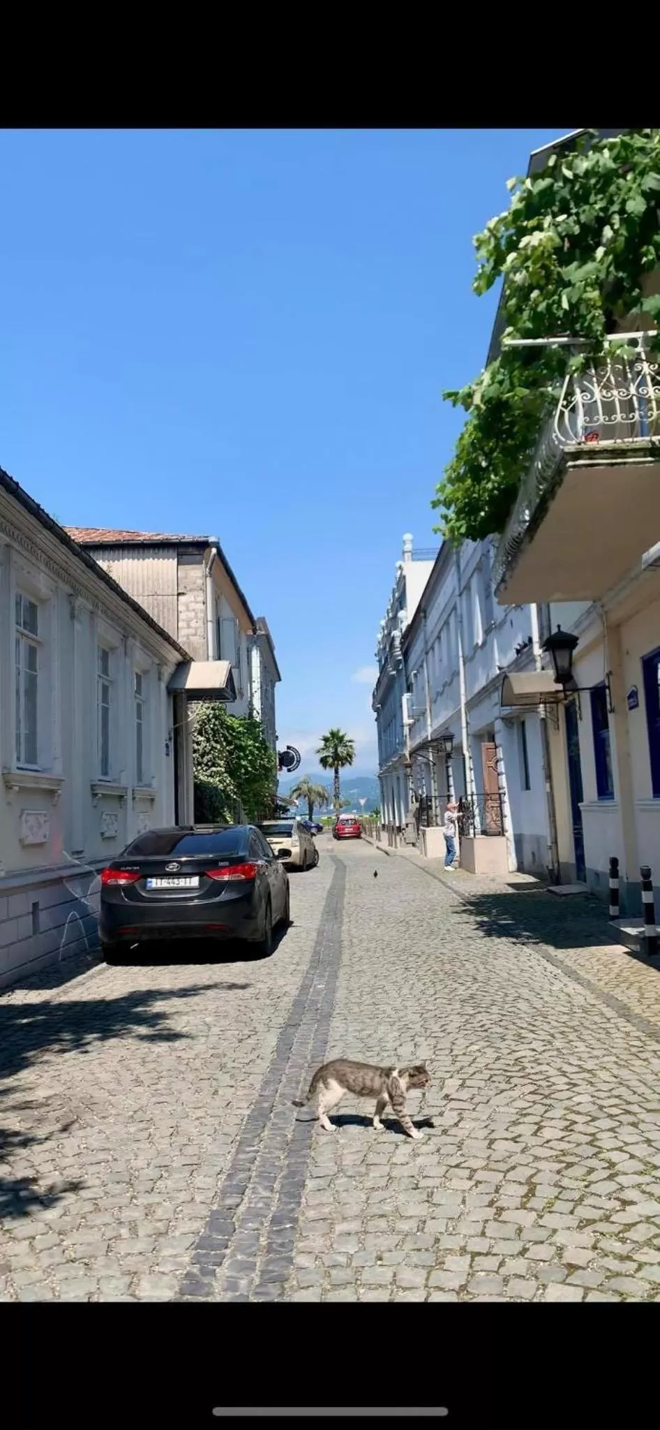 Neighbourhood in Hotel Port Altus