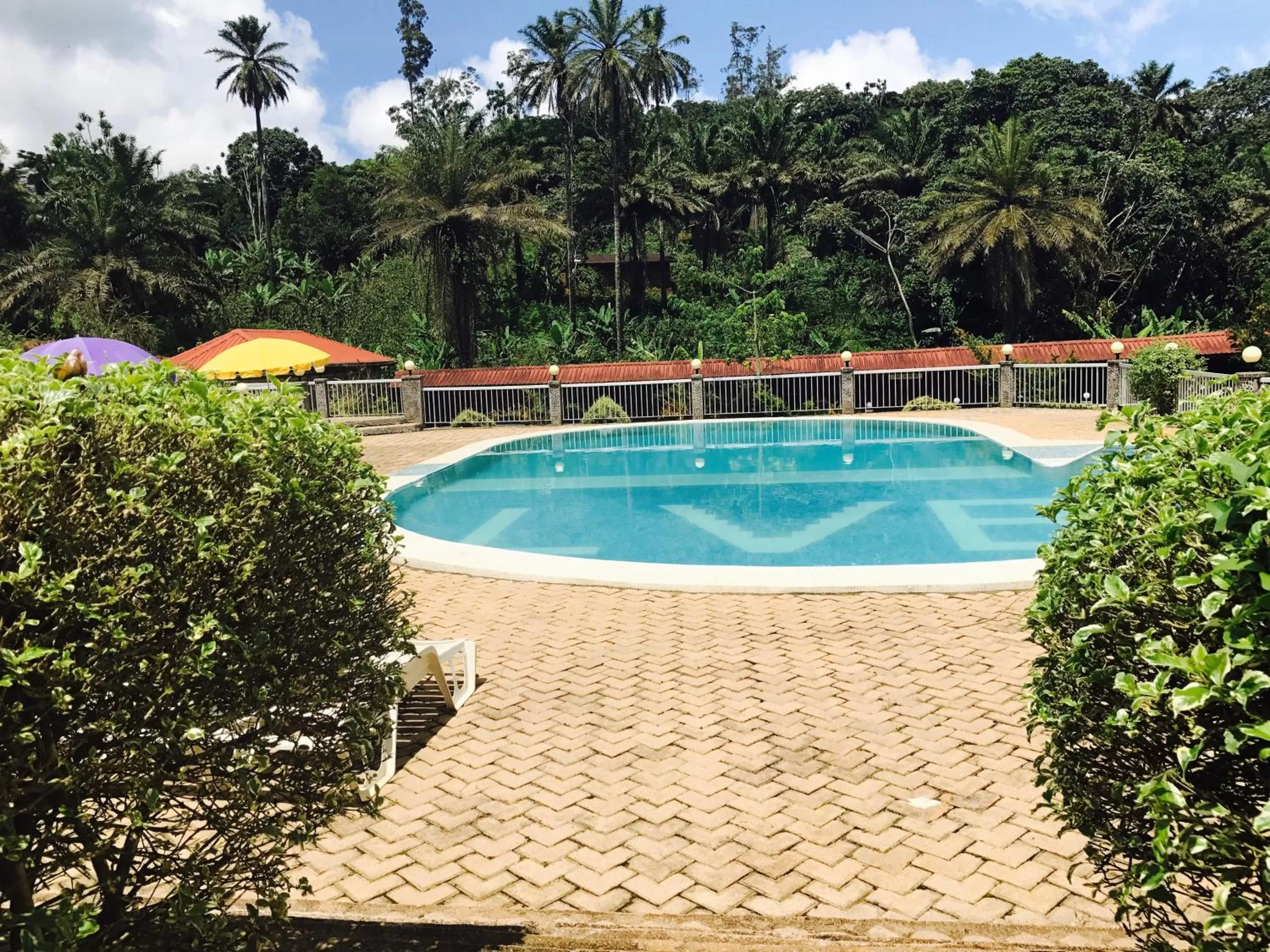 Swimming Pool in La Vallée de Bana