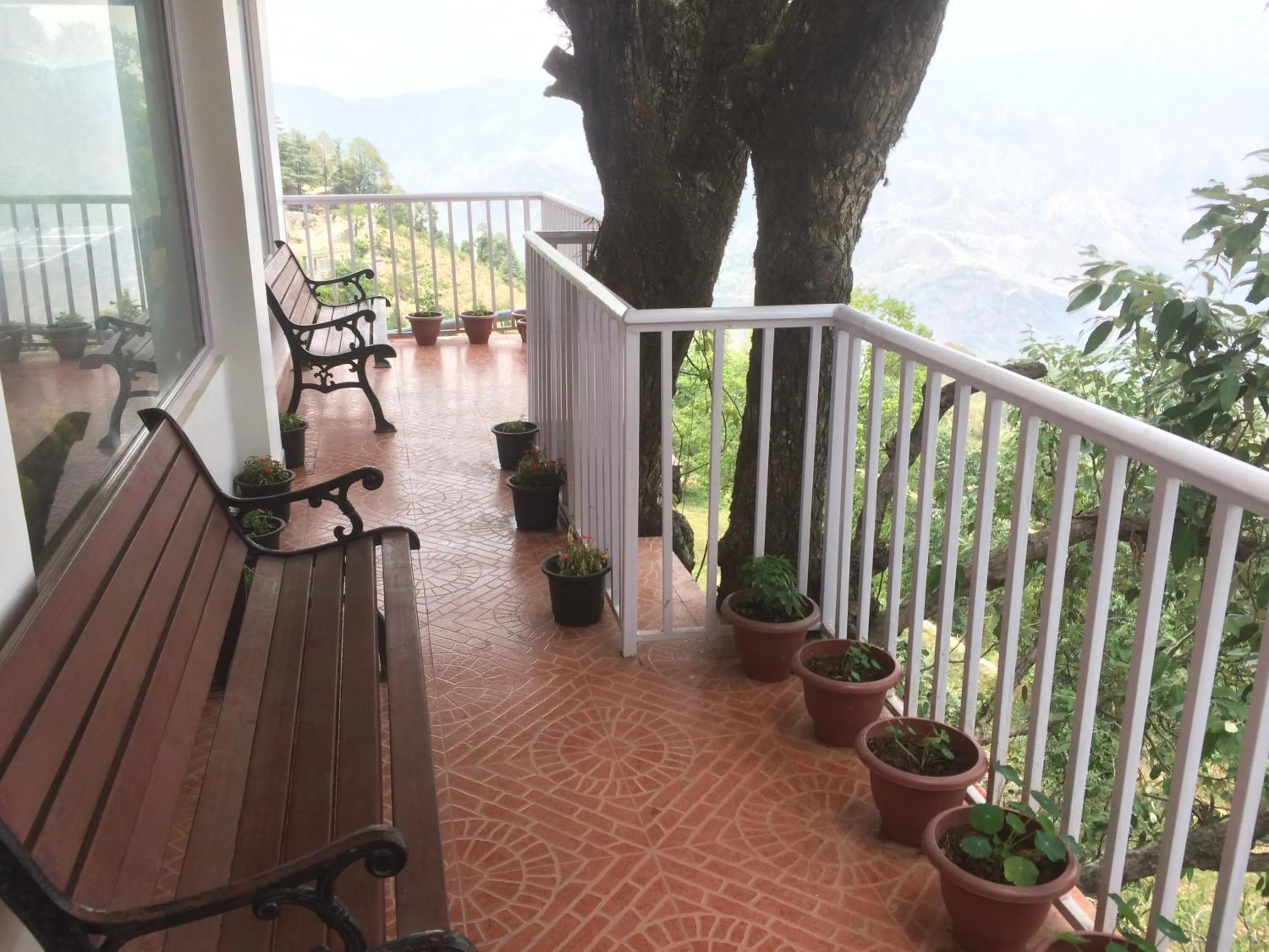 Balcony/Terrace in The Mountain Quail