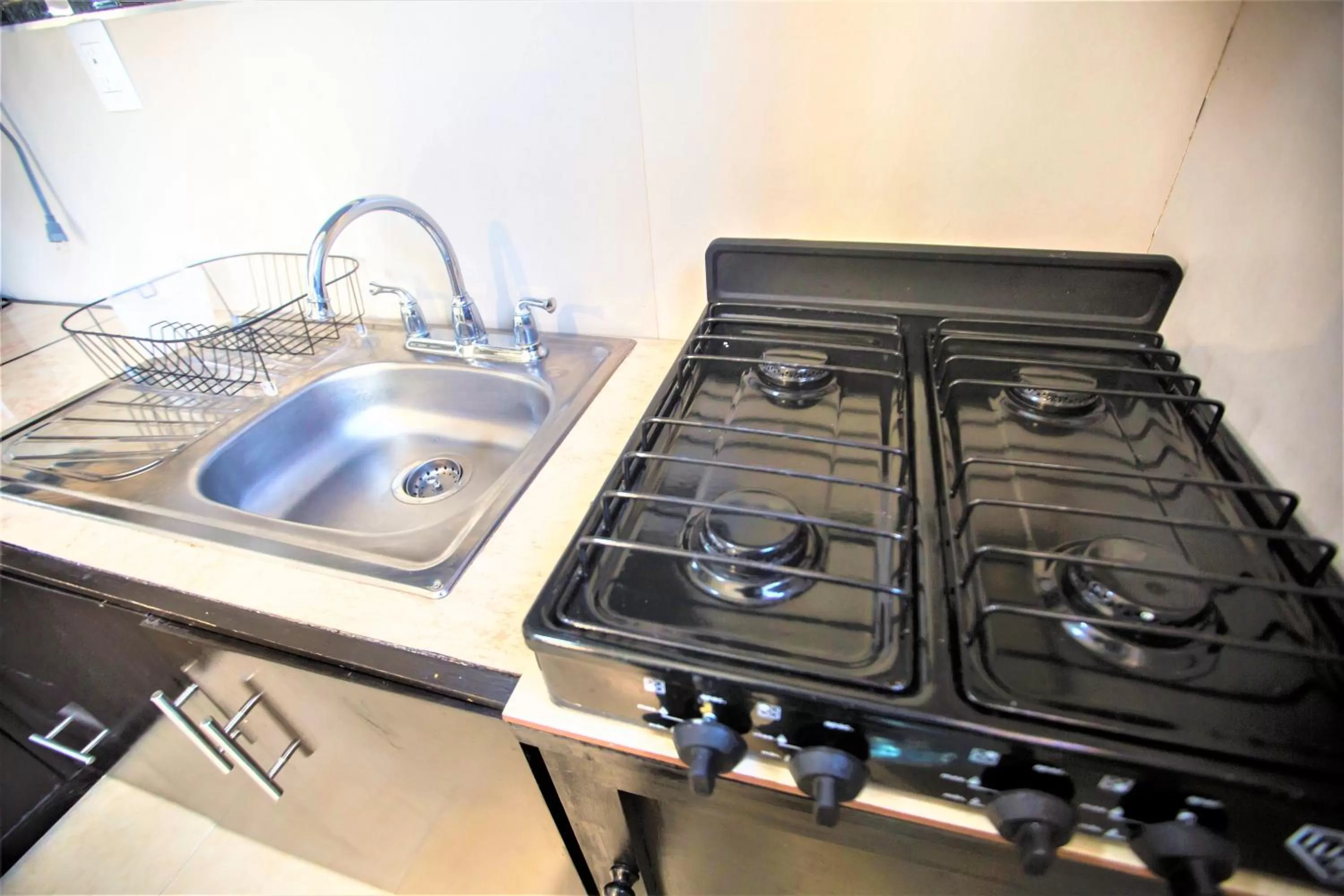 Kitchen or kitchenette in Hotel Plaza Mirador