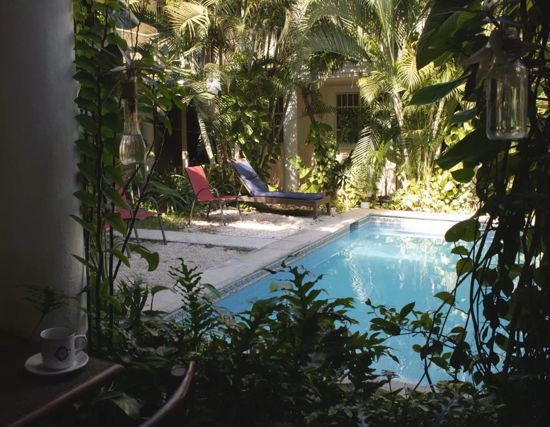 Restaurant/places to eat in Hotel Santa Ana