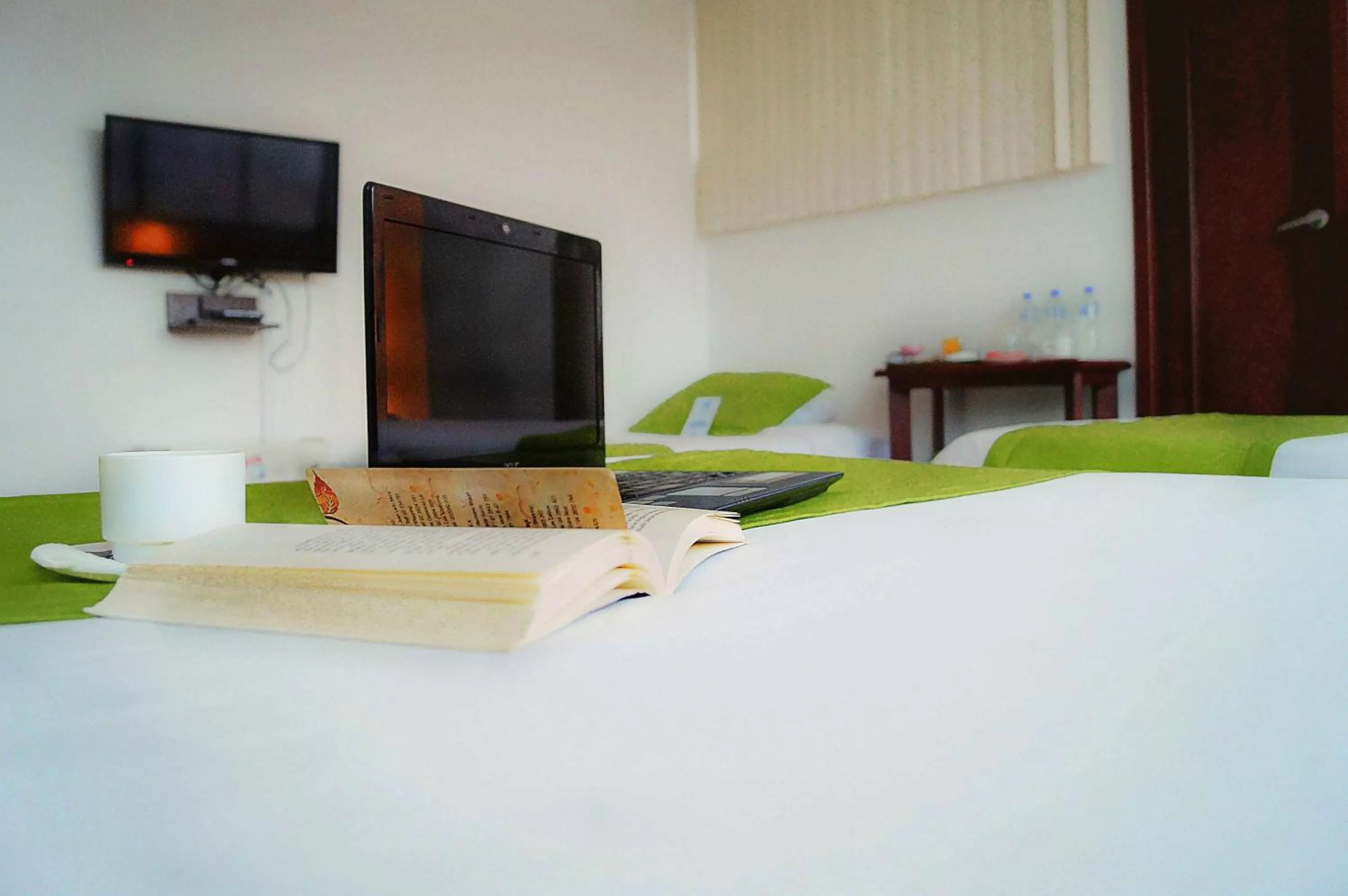 TV/Entertainment Center in Hotel Castell