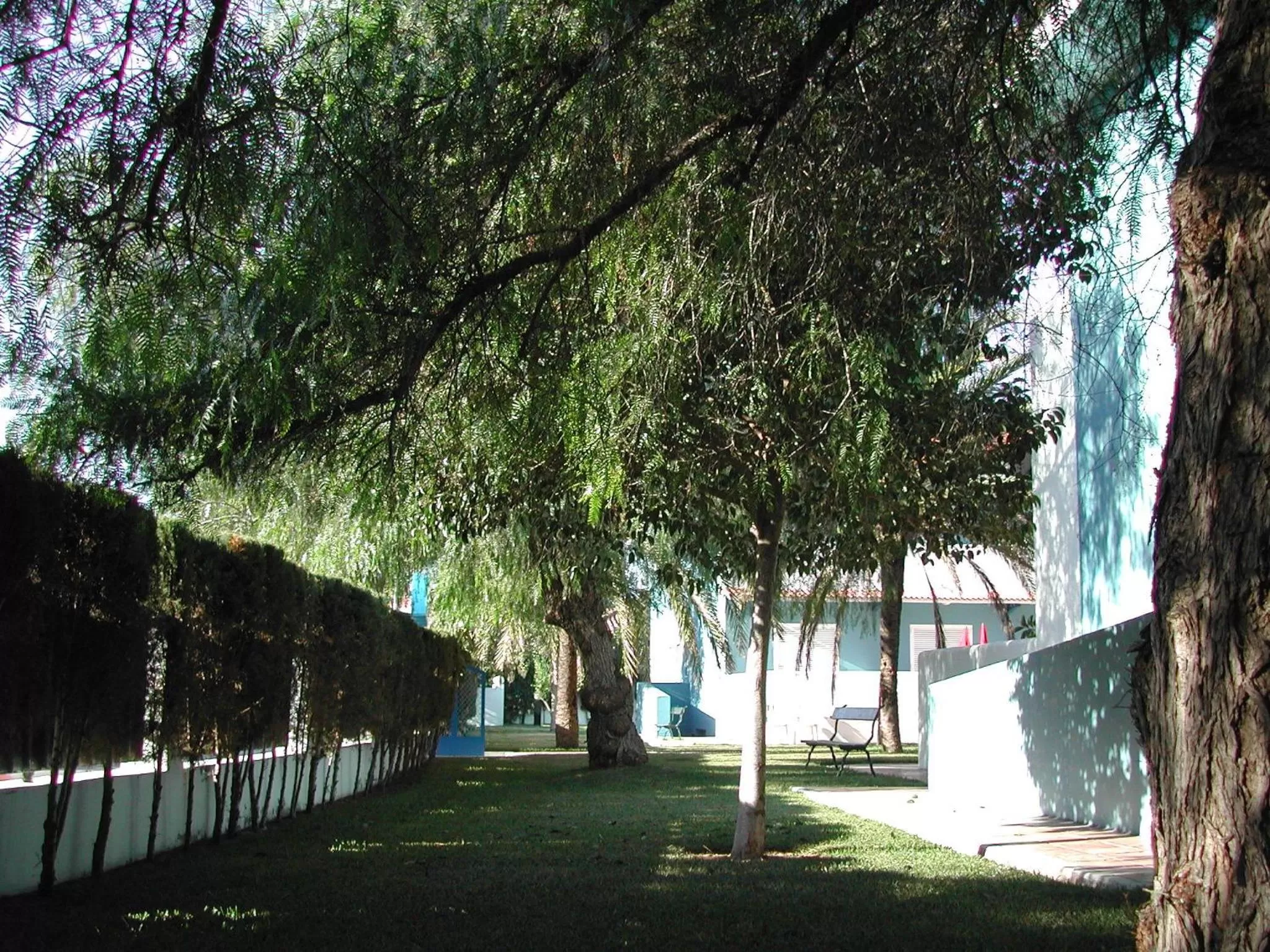 Garden in Del Mar Hotel & Spa