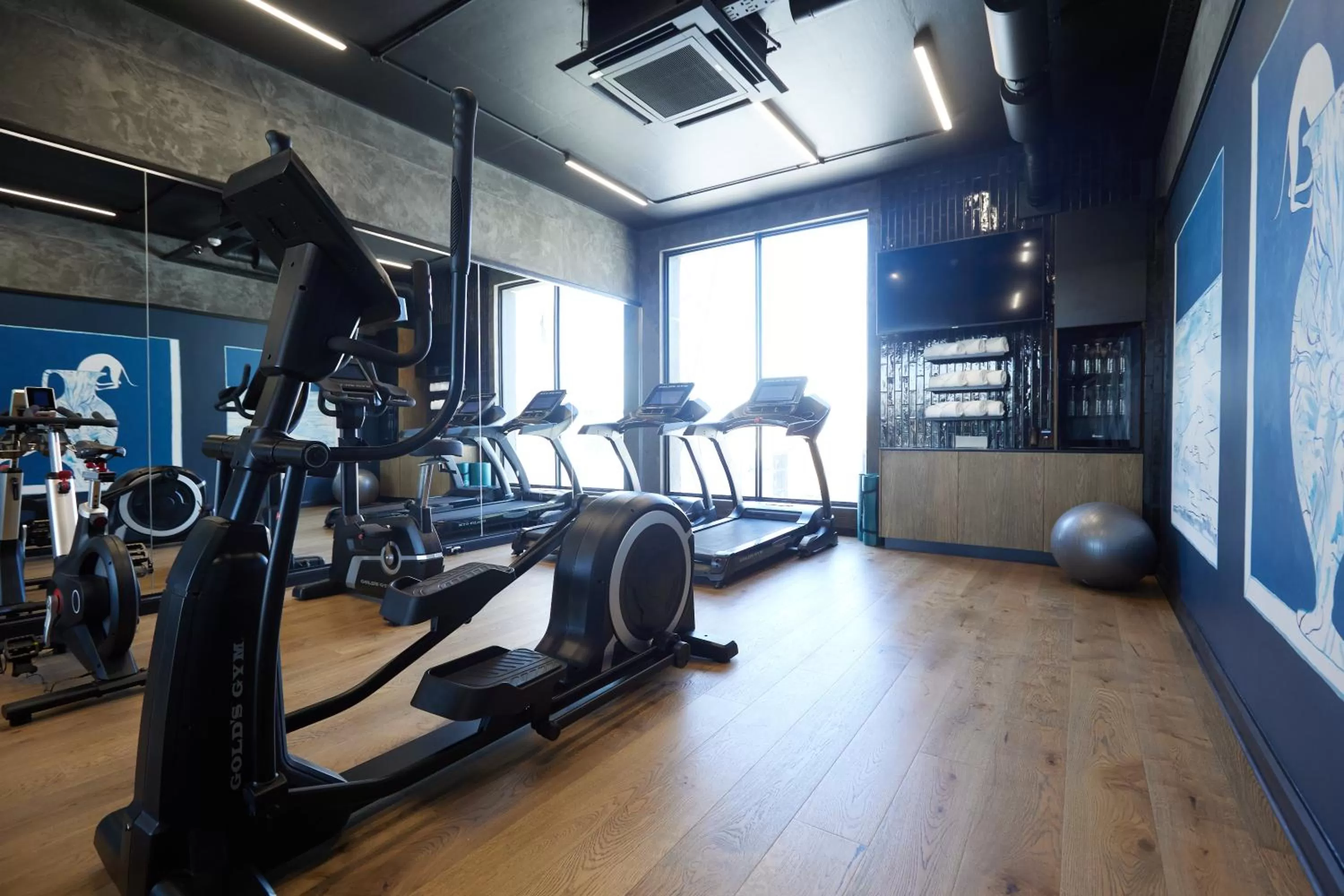 Fitness centre/facilities in HYDE JOHANNESBURG ROSEBANK
