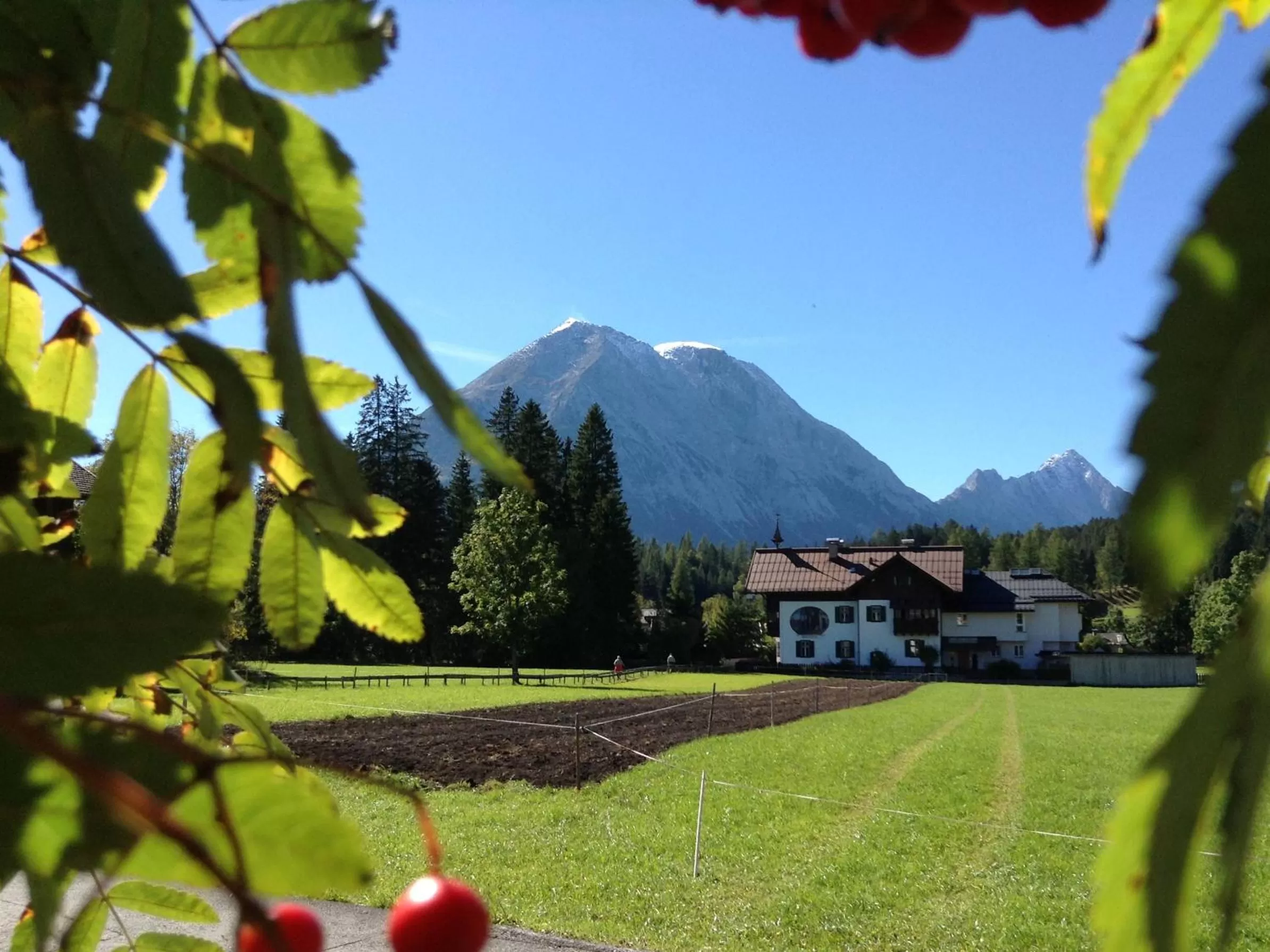 Summer in Sporthotel Xander