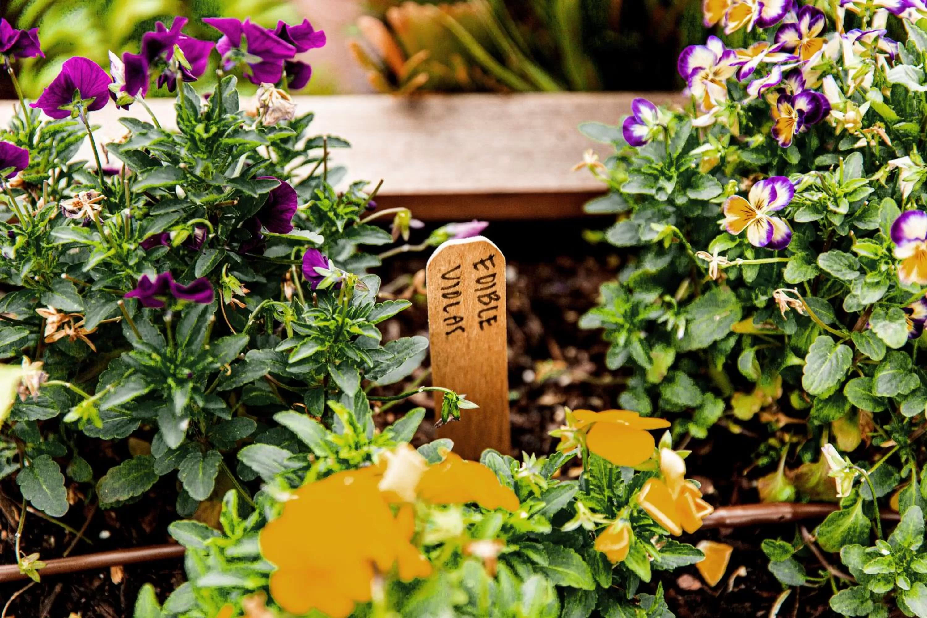 Alcoholic drinks in Life House, Little Havana