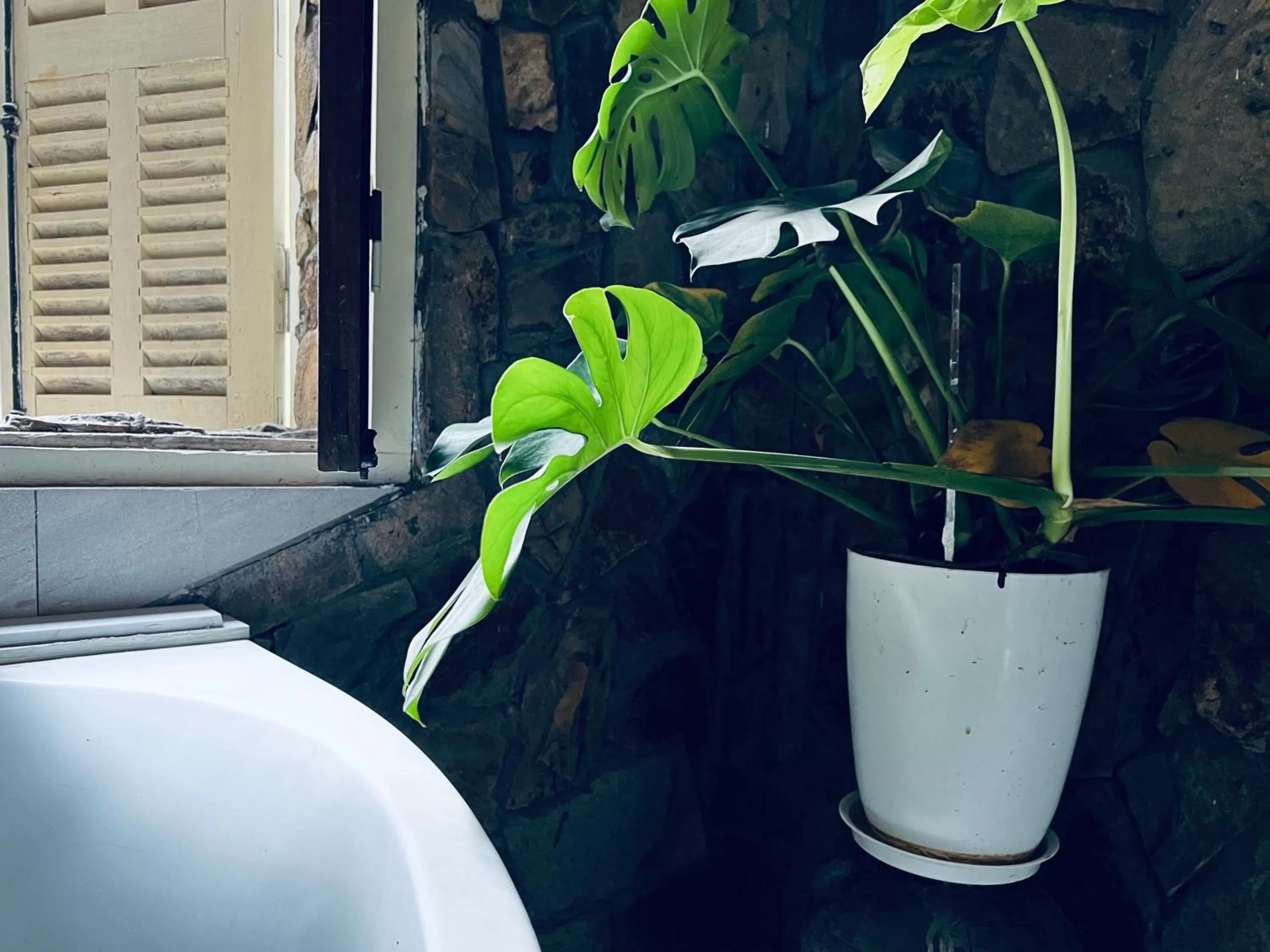 Garden in The First Ba Trieu Ha Noi