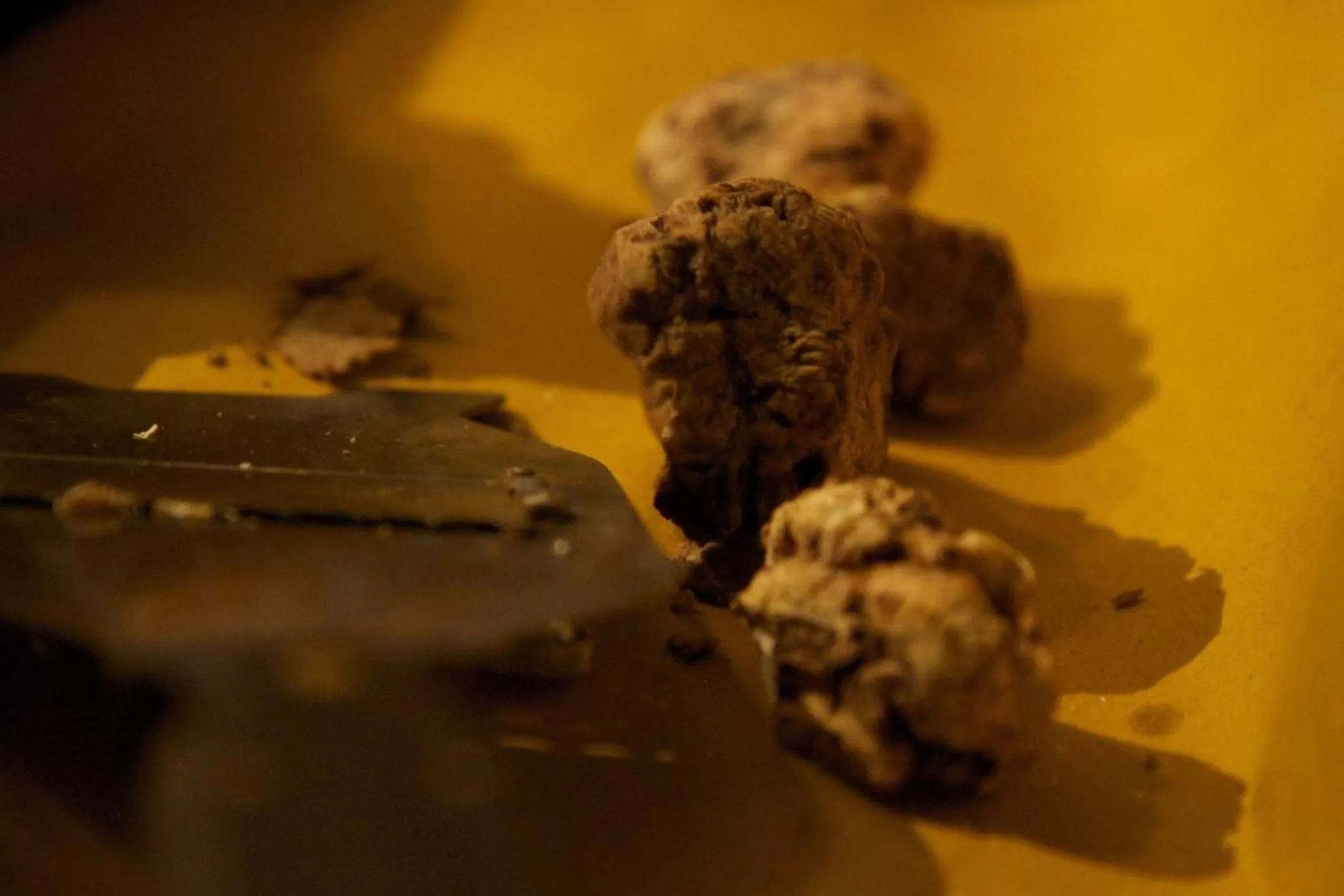 Food close-up in La Bussola Da Gino