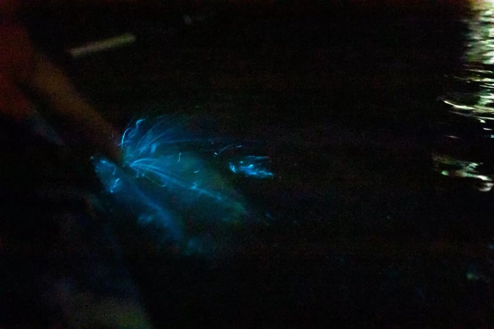 El Gecko Hotel & Tours