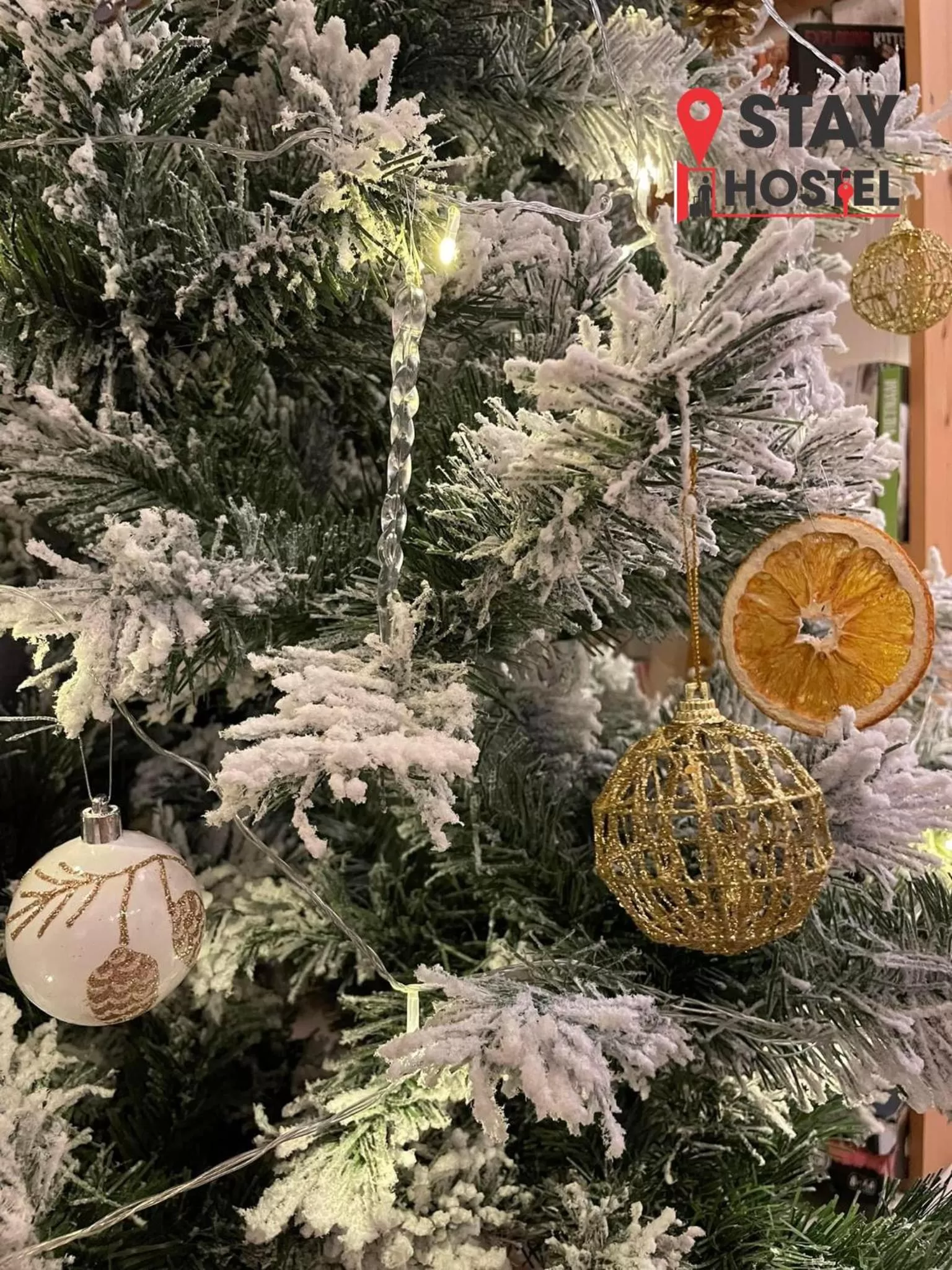 Lobby or reception in STAY hostel 2 - 350m from the ferry