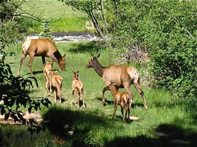 Riversong Inn Retreat