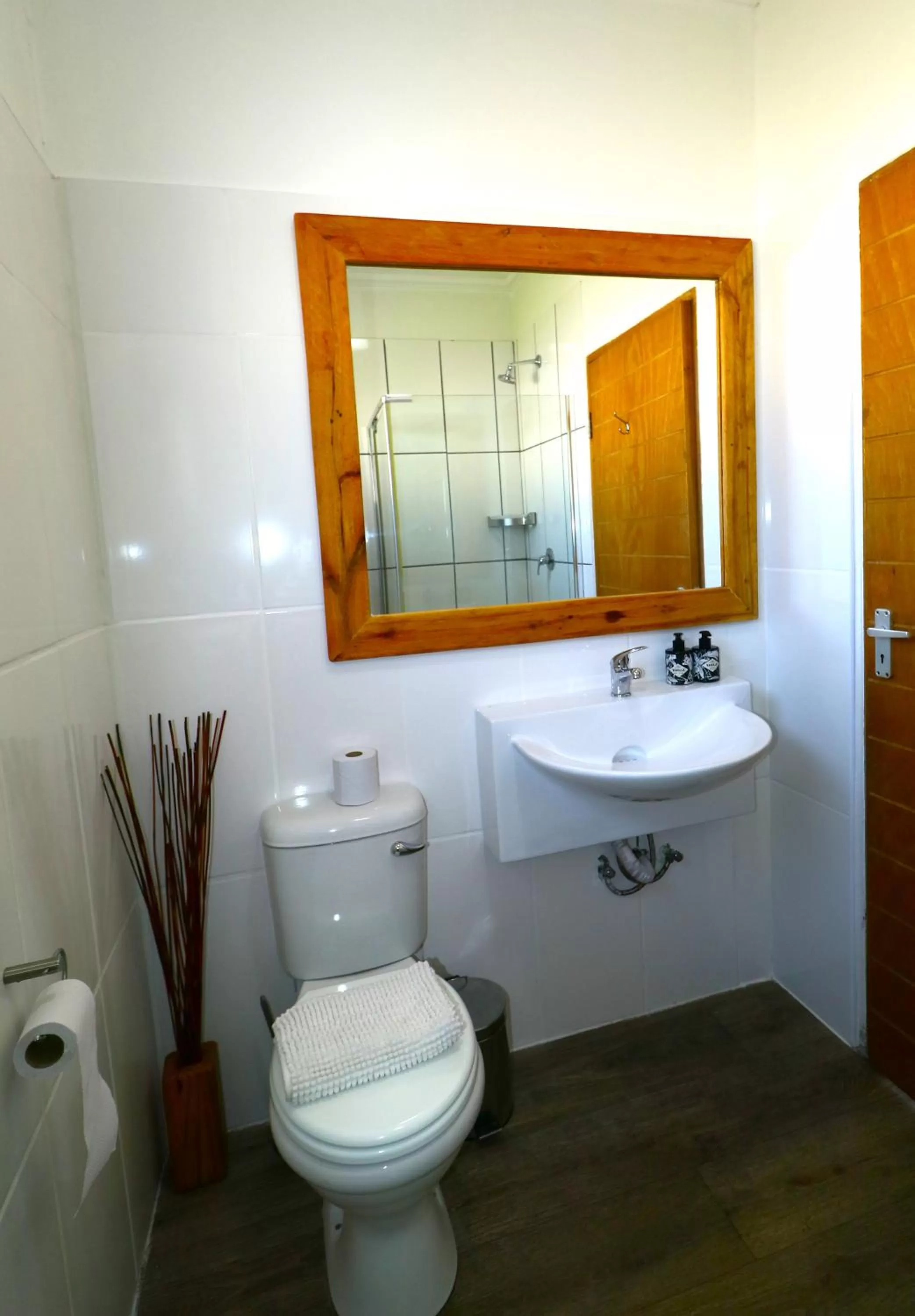 Toilet in Tiende Laan Bed & Breakfast and Self-Catering