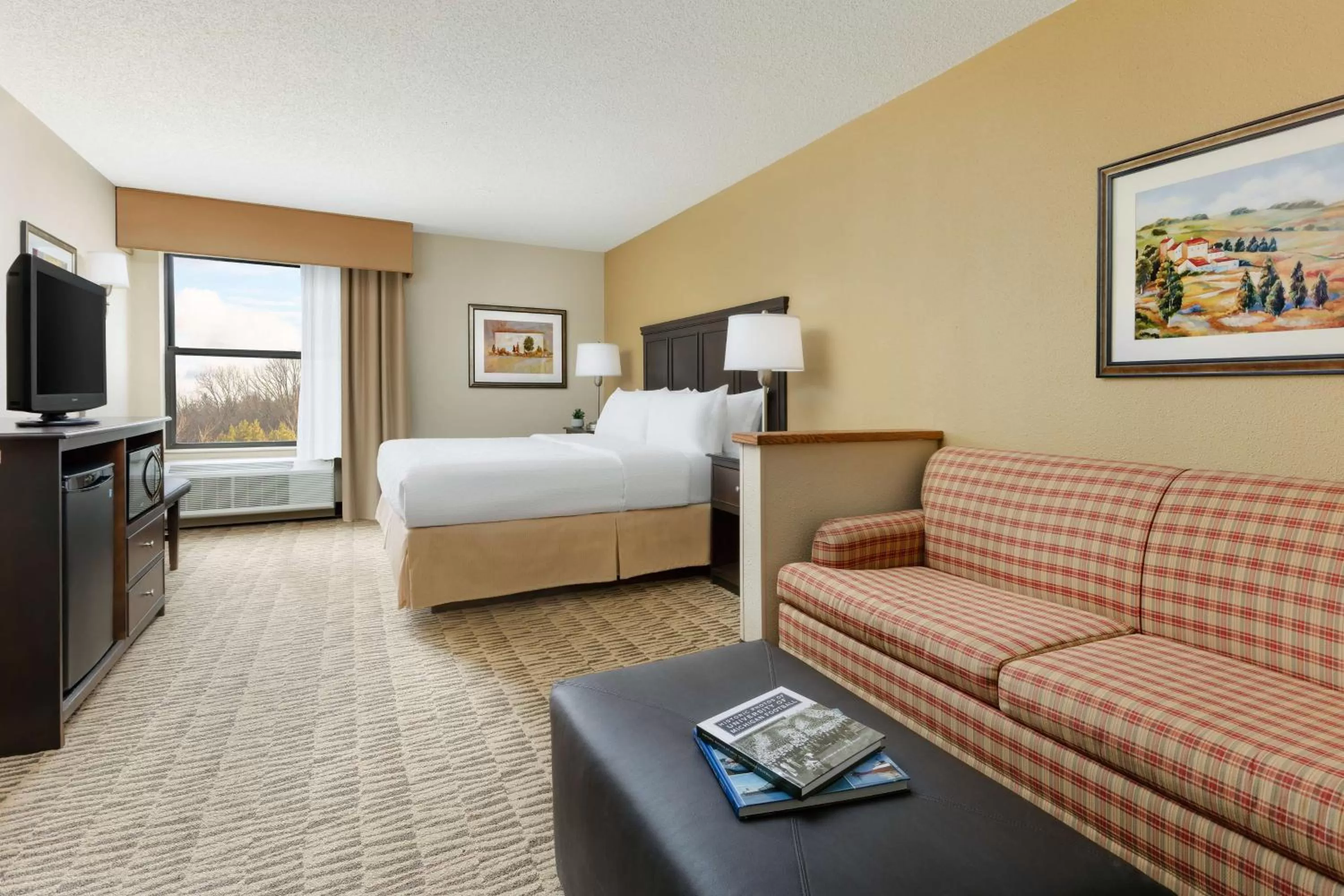Living room, Bed in Countryside Inn Jackson