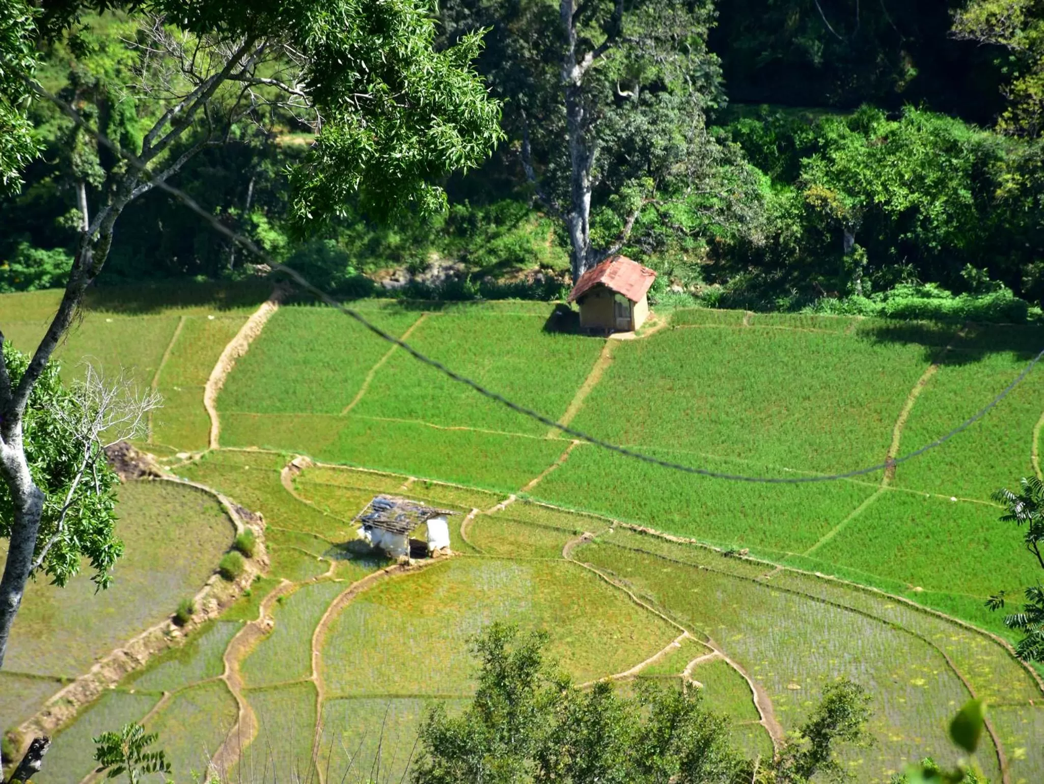 Bird's-eye View in Ornateview Hotel