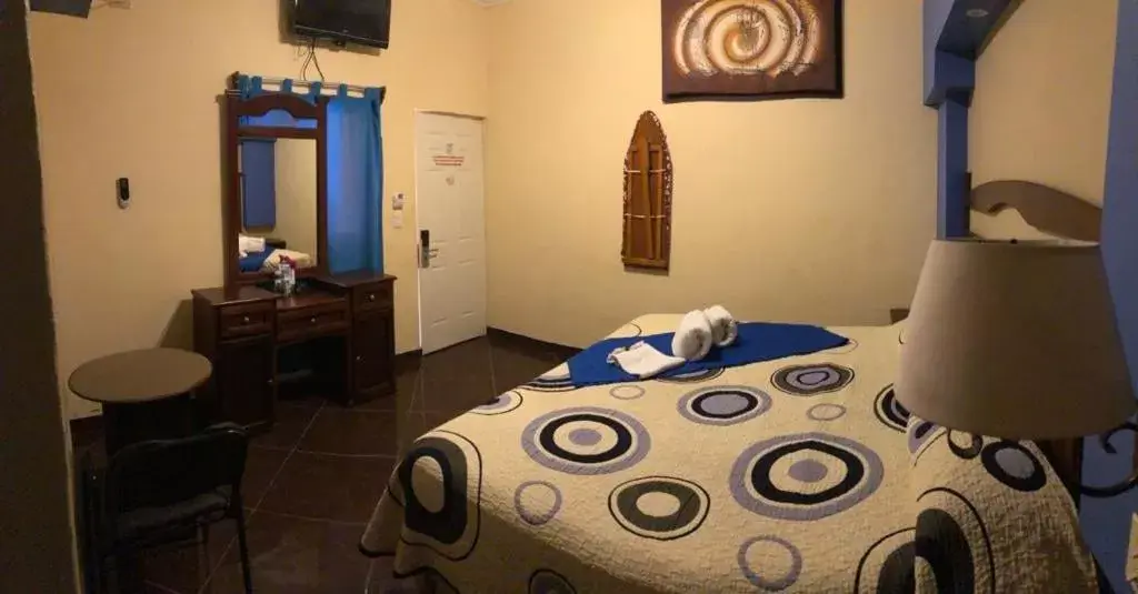 King Room in HOTEL PARAÍSO DEL VALLE King Room in HOTEL PARAÍSO DEL VALLE