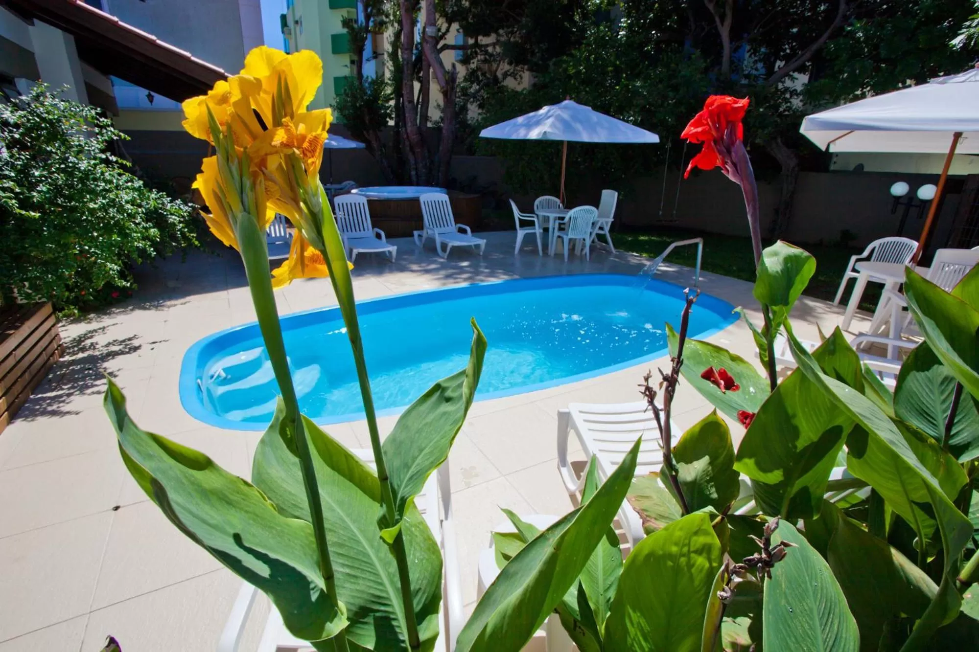 Pool view, Swimming Pool in Beach House Floripa