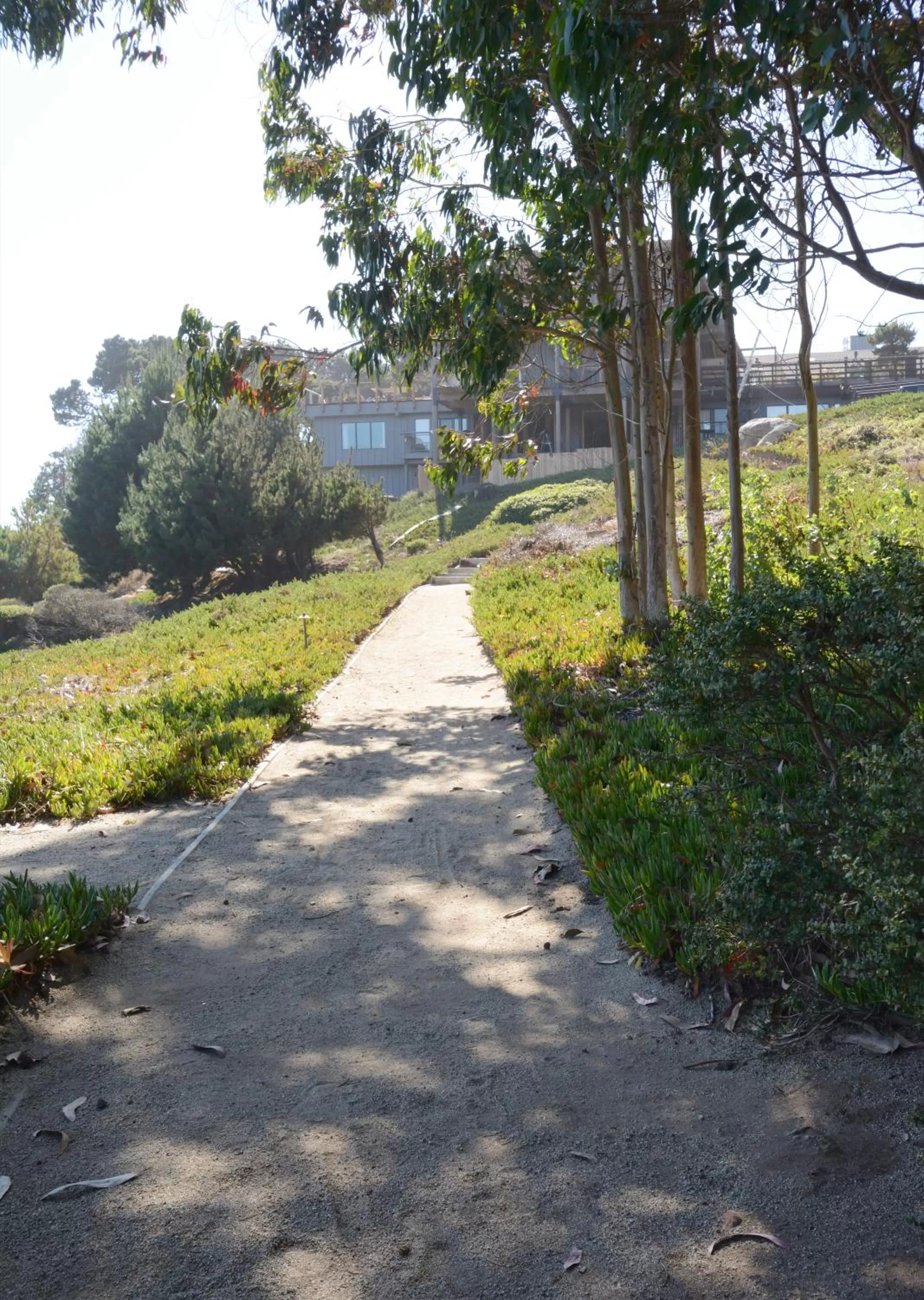 Day in Timber Cove Resort