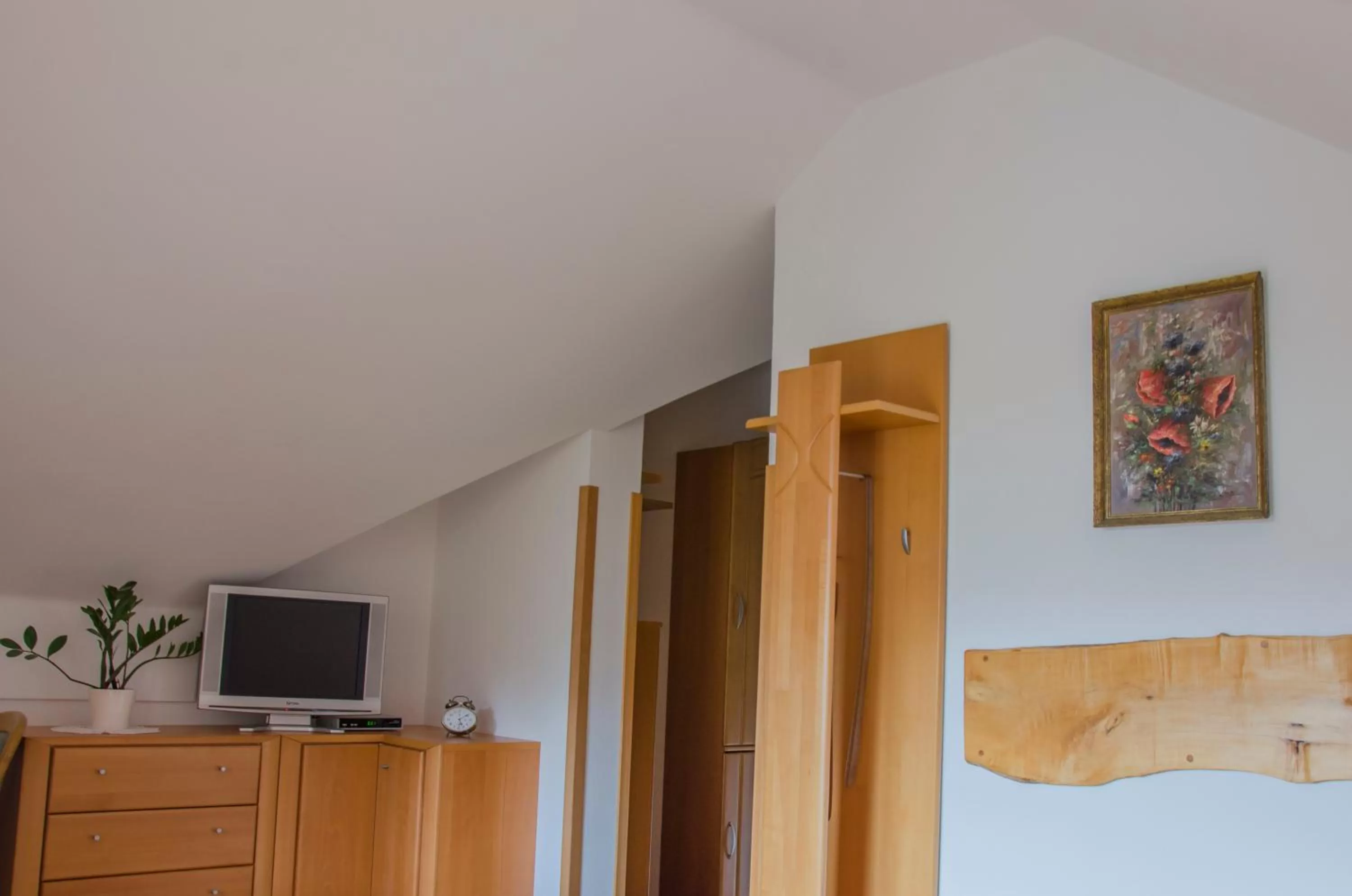 Decorative detail, TV/Entertainment Center in Miškar Rooms