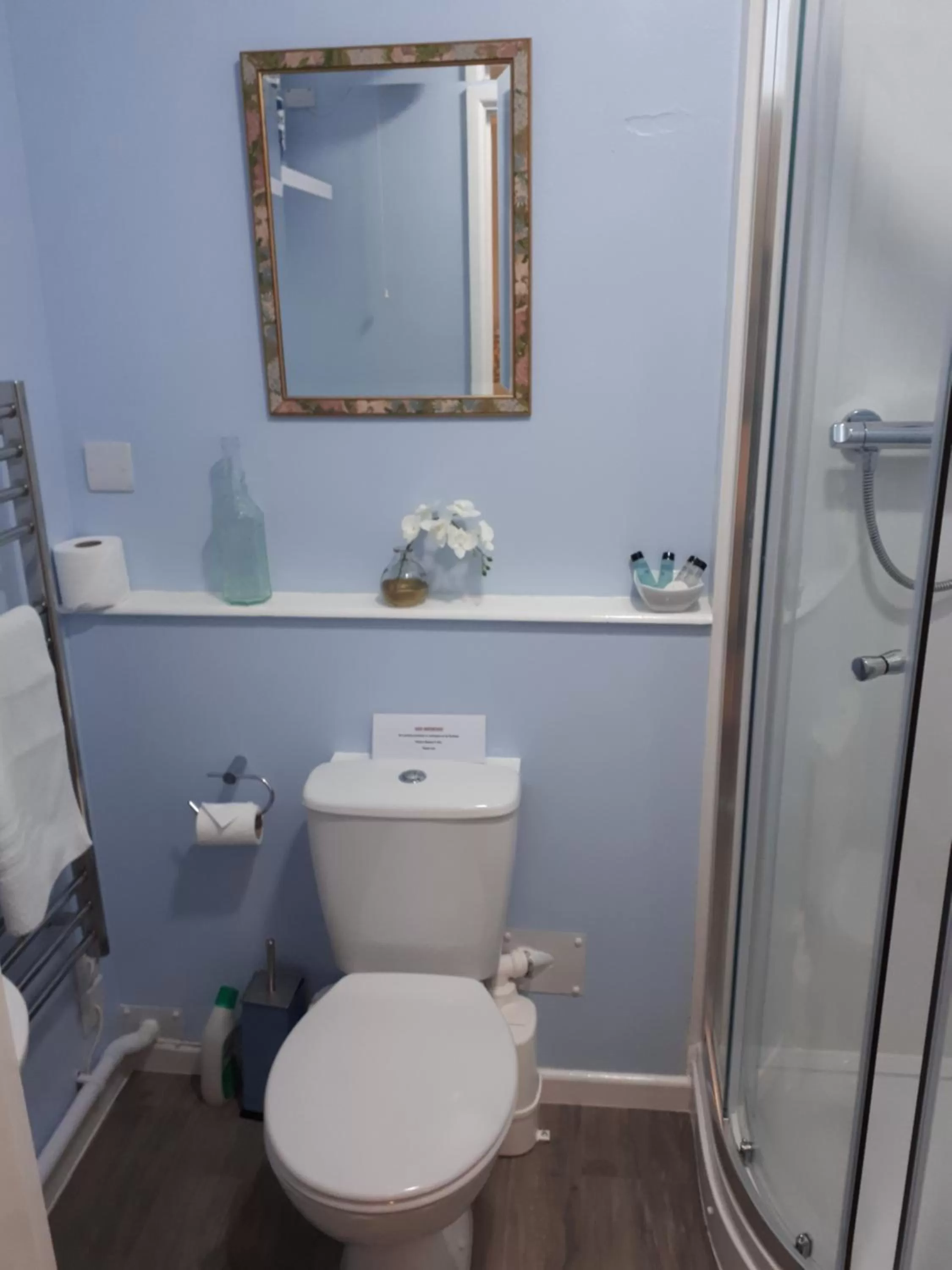 Shower in Santi Bhavana Bed & Breakfast