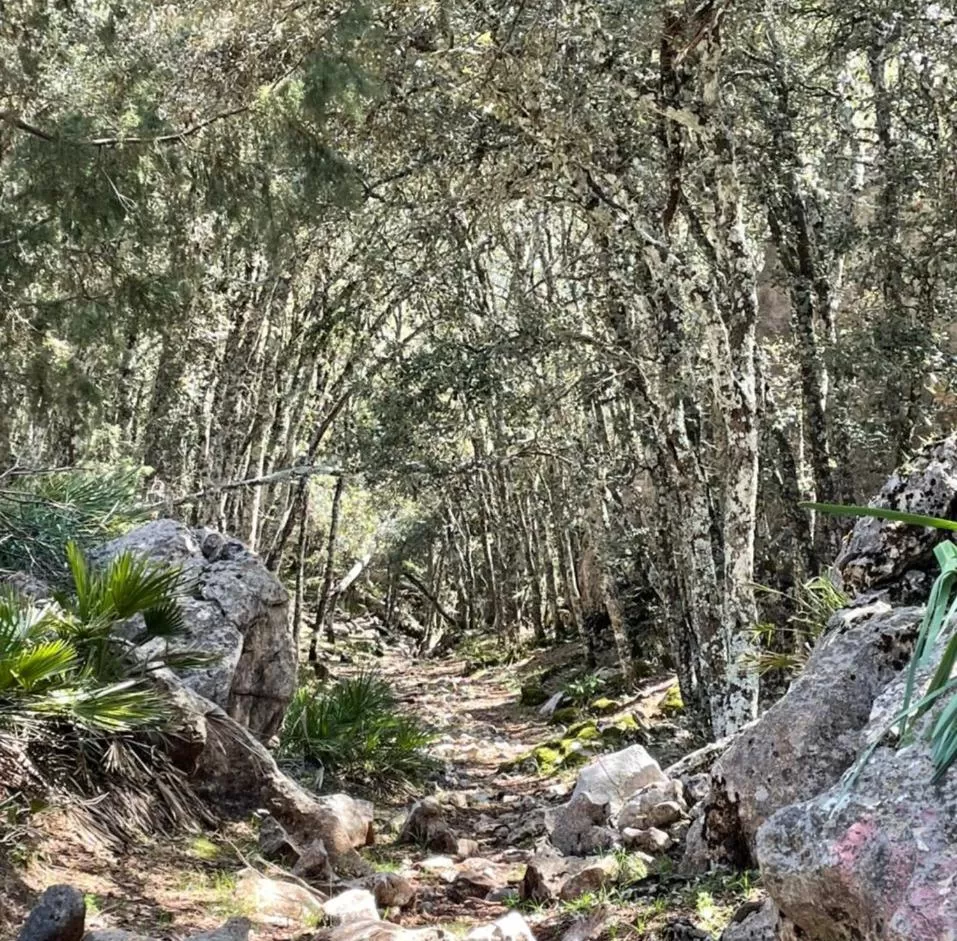 Natural Landscape in TAZEKKA PARC HOTEL