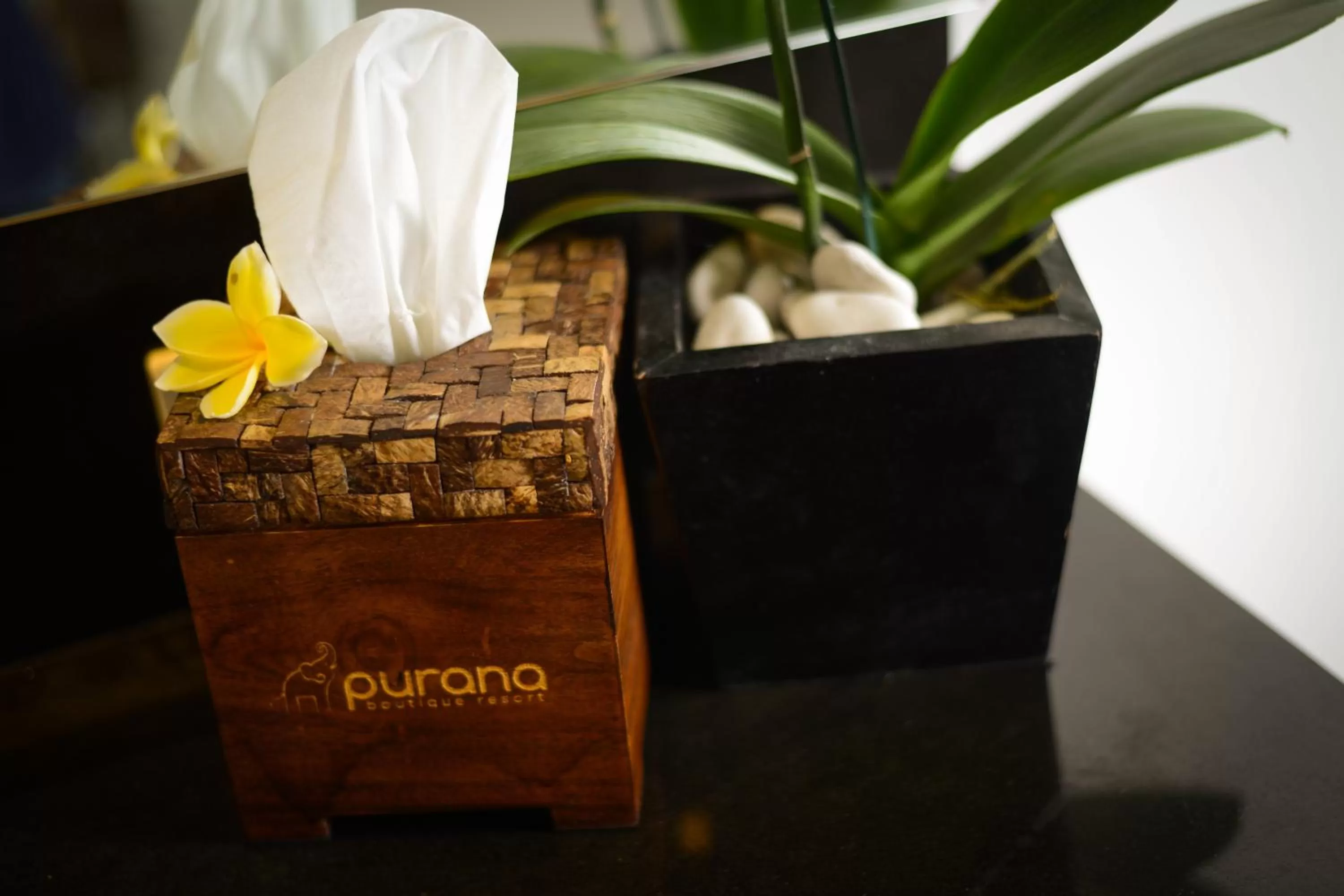 Decorative detail in Purana Boutique Resort